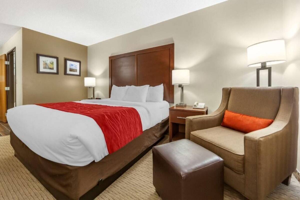 A hotel room with a bed, a chair, a nightstand, and a lamp.