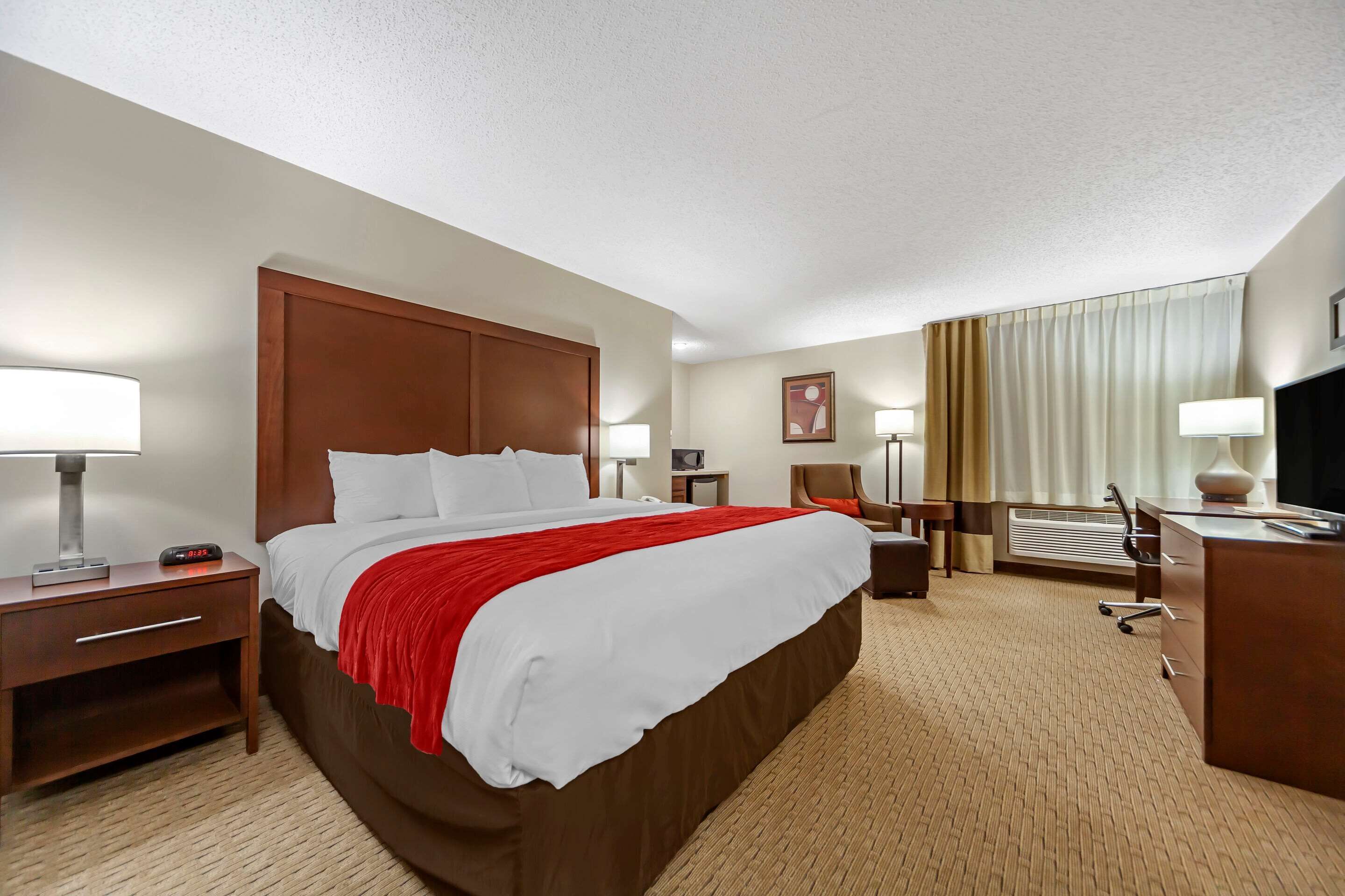 premium bedding, blackout curtains, iron/ironing board, free wifi