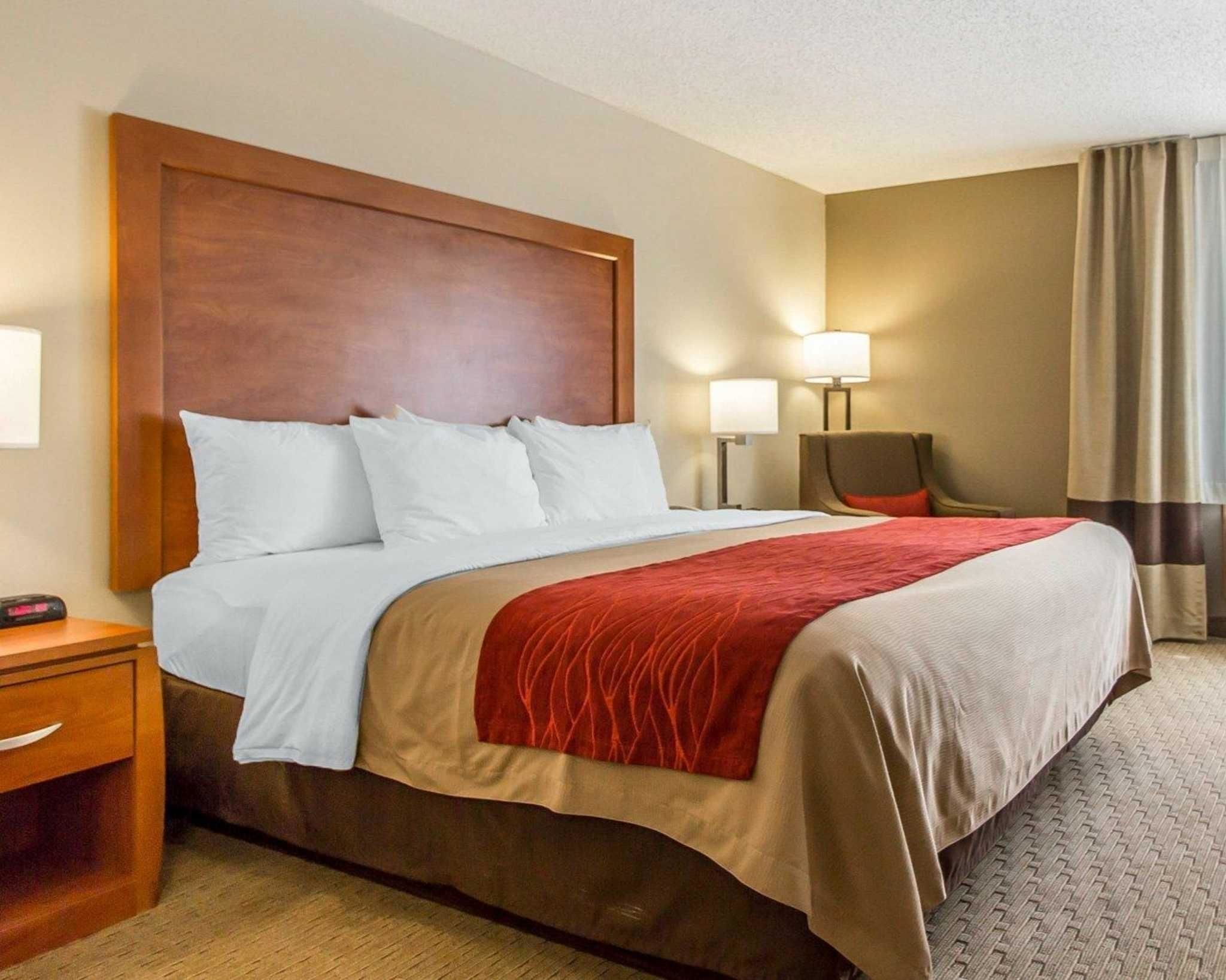 premium bedding, blackout curtains, iron/ironing board, free wifi