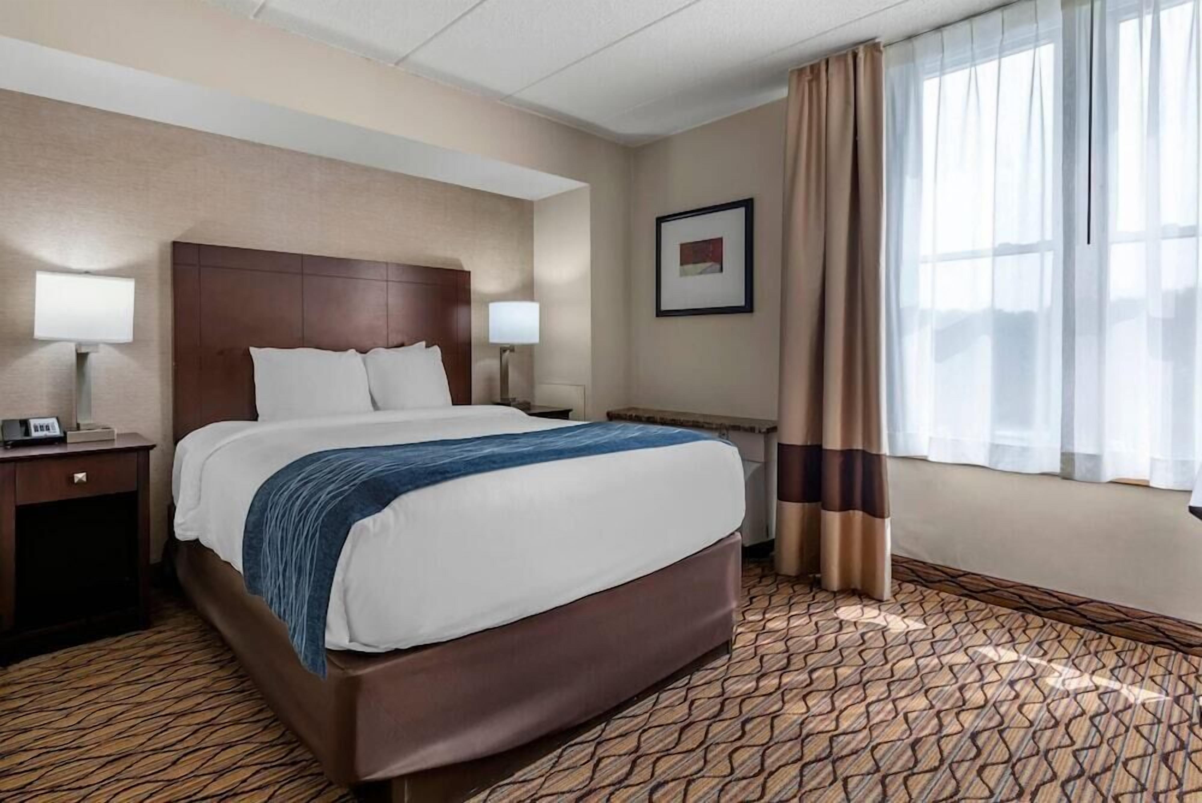 Premium bedding, down duvets, pillow-top beds, in-room safe