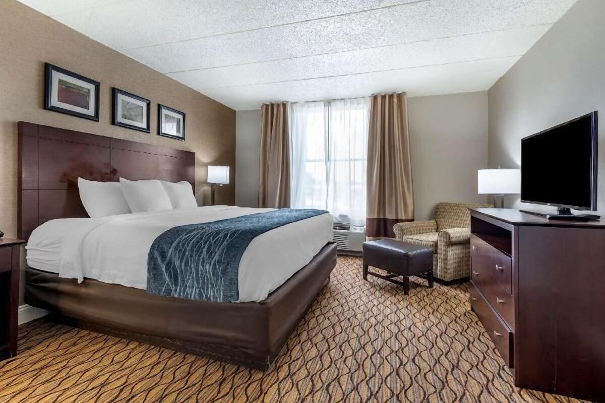 Premium bedding, down comforters, pillowtop beds, in-room safe