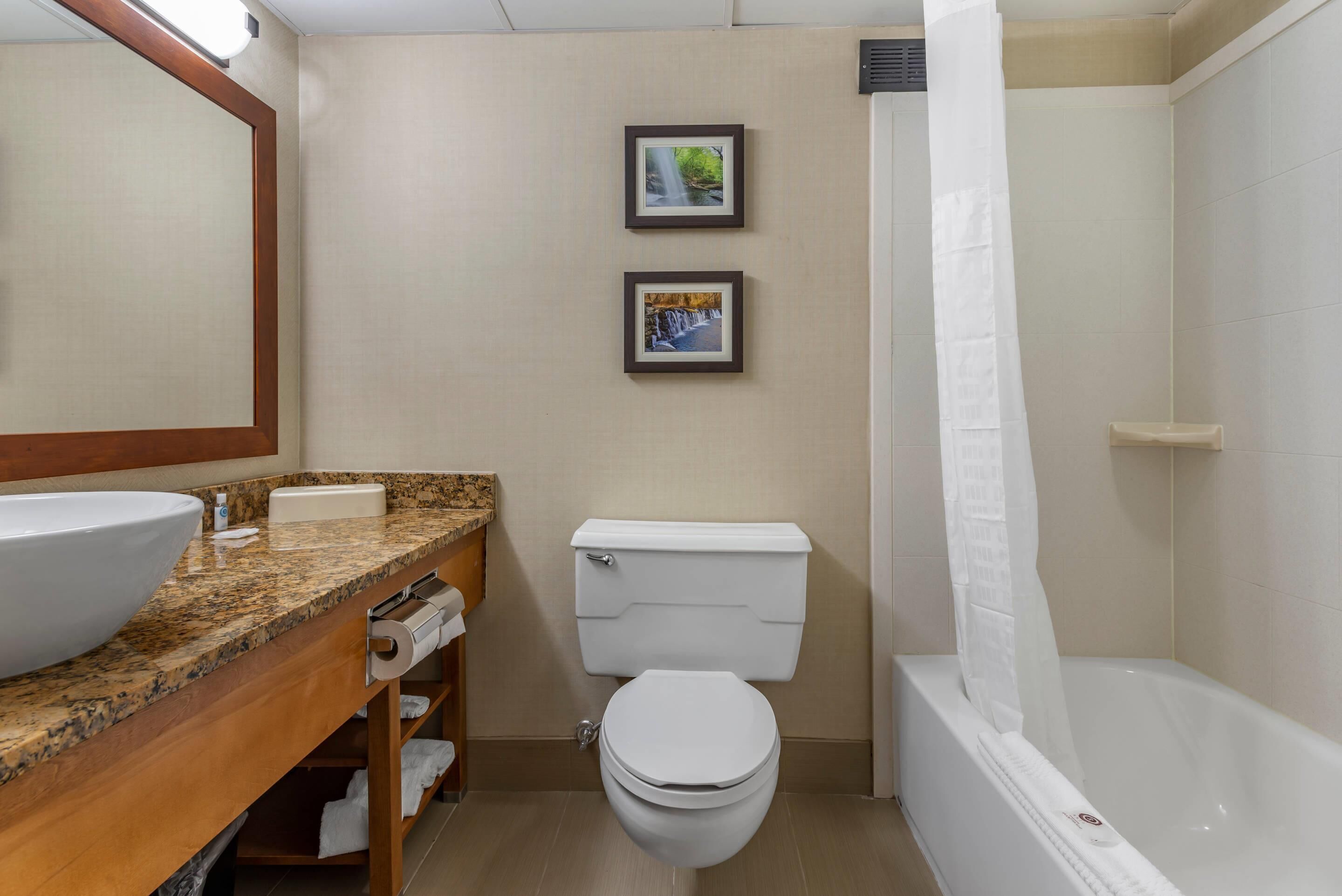 A bathroom with a large sink, toilet, and bathtub. There are two framed pictures on the wall.