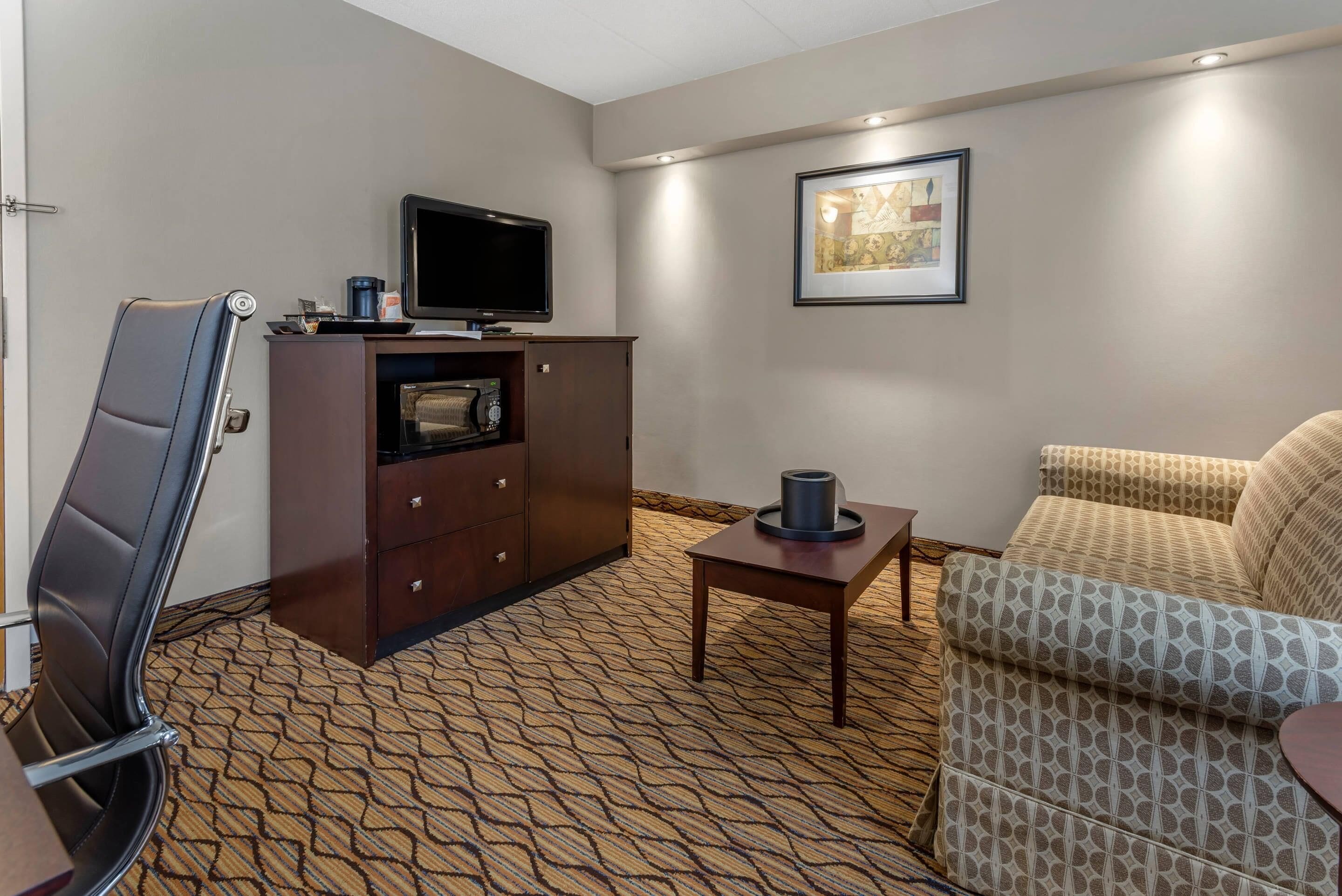 Habitación de hotel con sofá, televisor sobre un mueble, alfombra estampada y un cuadro en la pared.