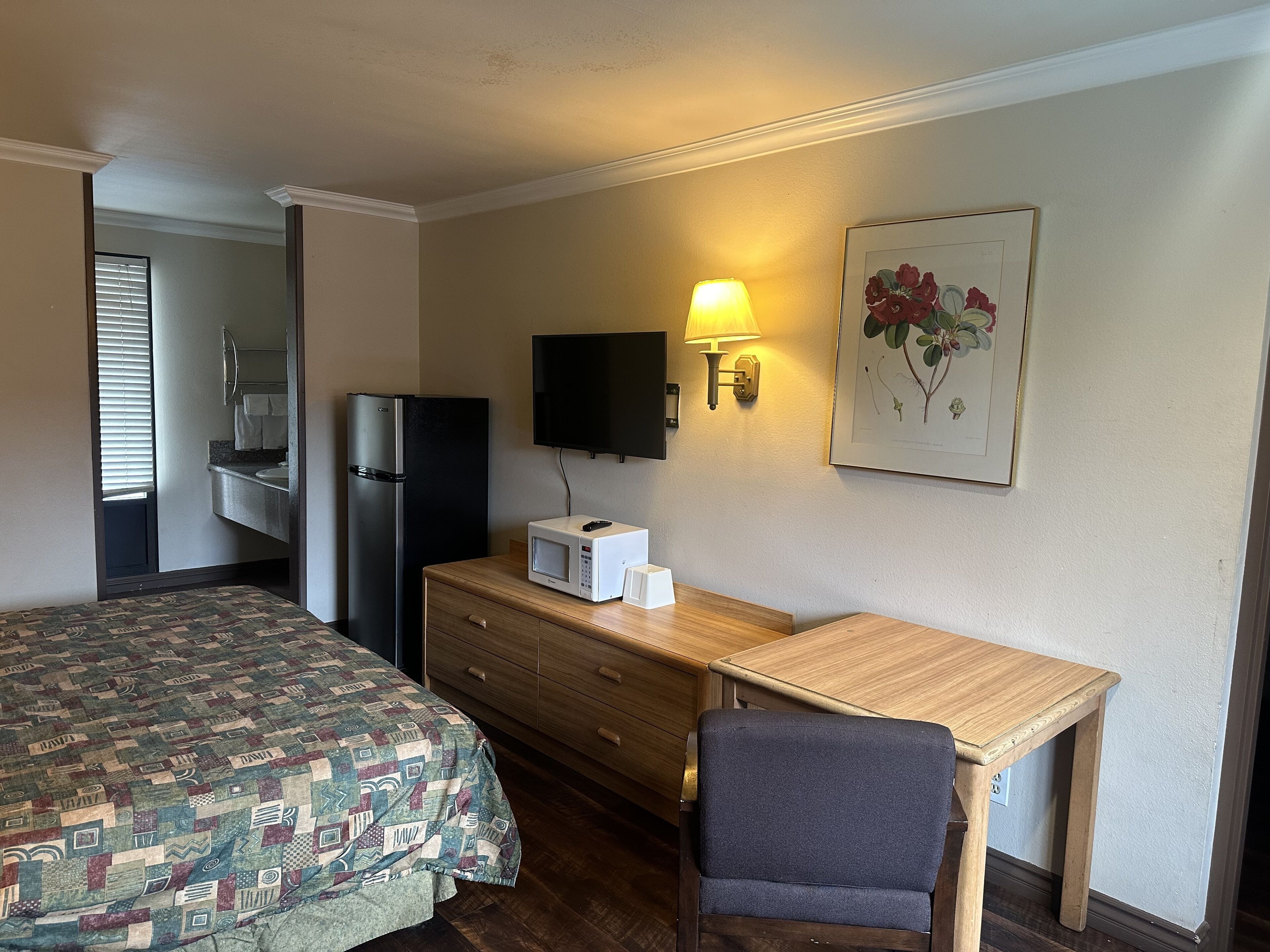 A hotel room with a bed, a desk, a chair, a television, a microwave, and a framed botanical print on the wall.