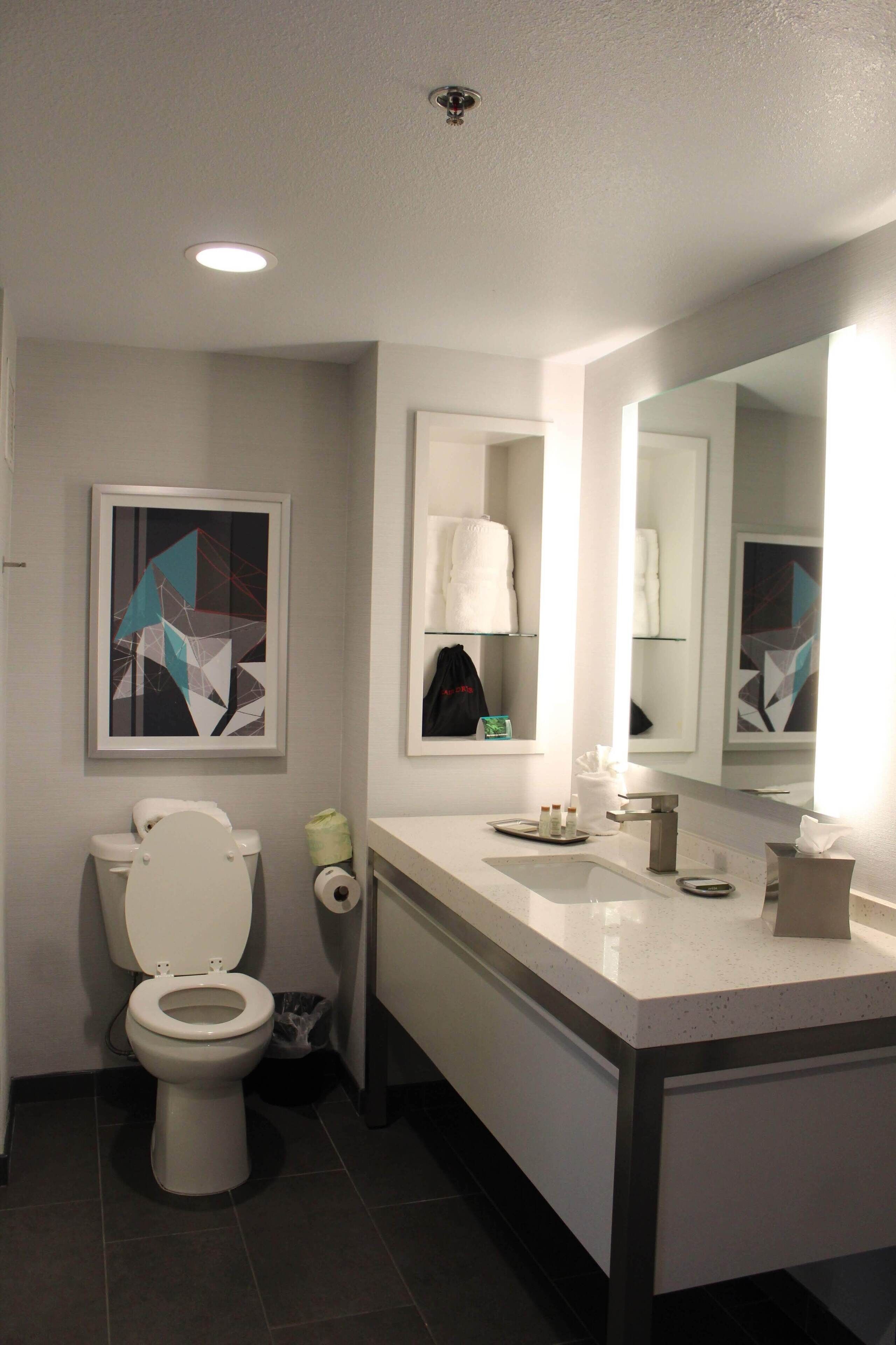 suite, 1 king bed (additional living and dining area) | bathroom | shower, hydromassage showerhead, free toiletries, hair dryer