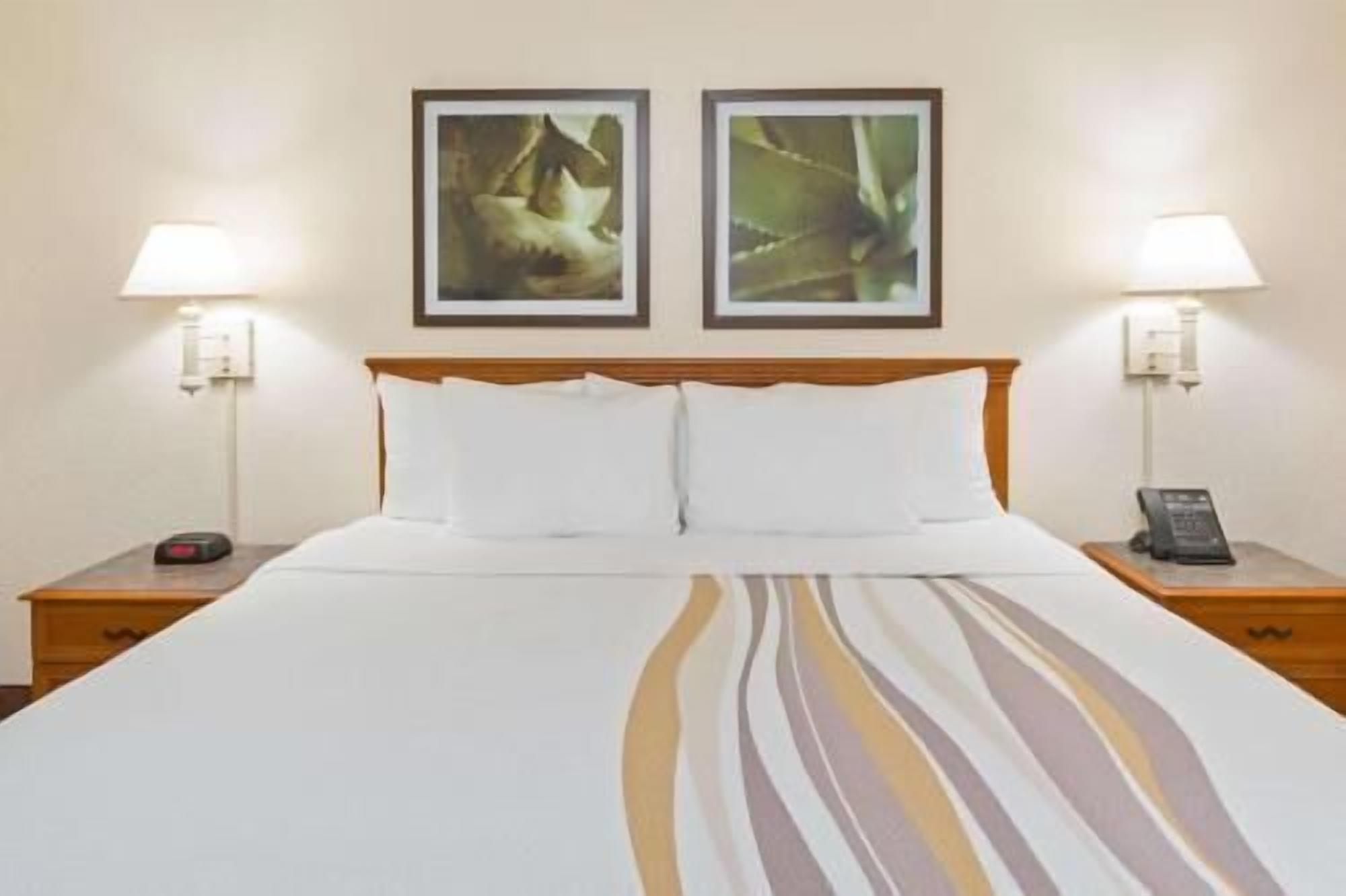 Premium bedding, desk, laptop workspace, iron/ironing board