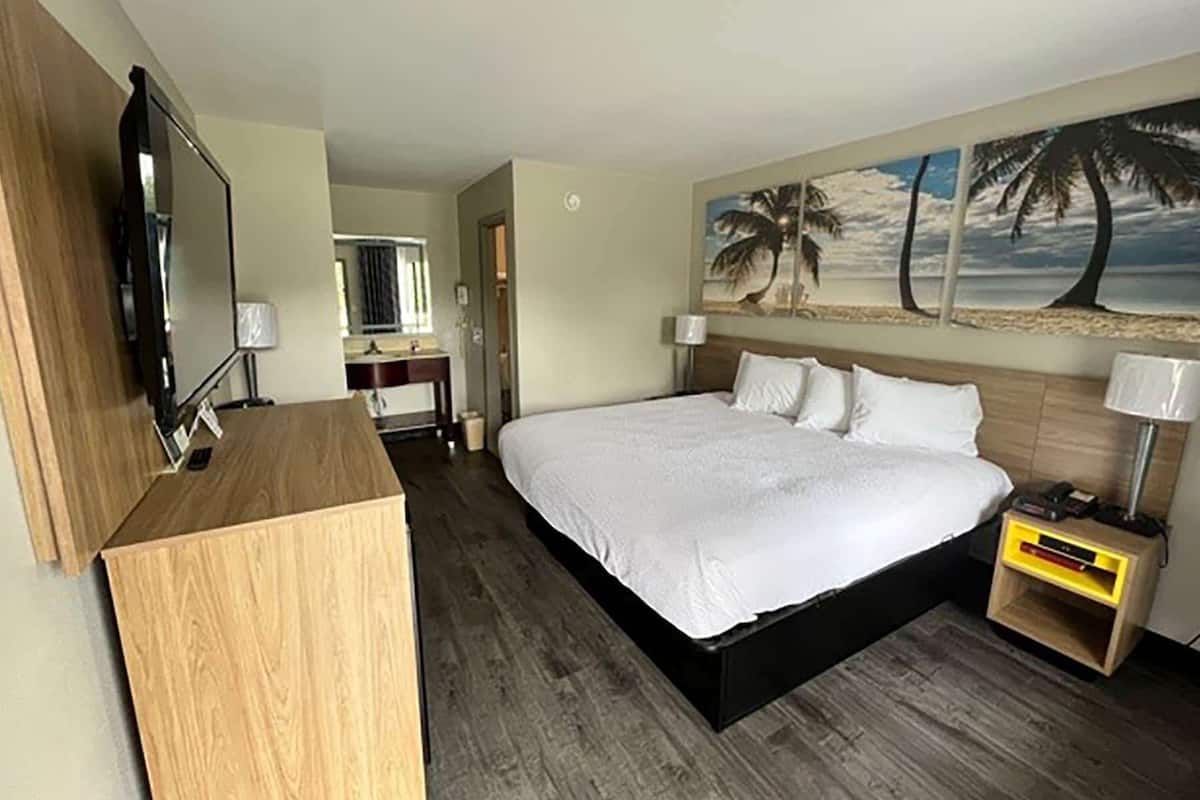 Quarto de hotel com uma cama grande, uma escrivaninha de madeira, televisão, pintura de palmeiras e mesa de cabeceira com abajur.