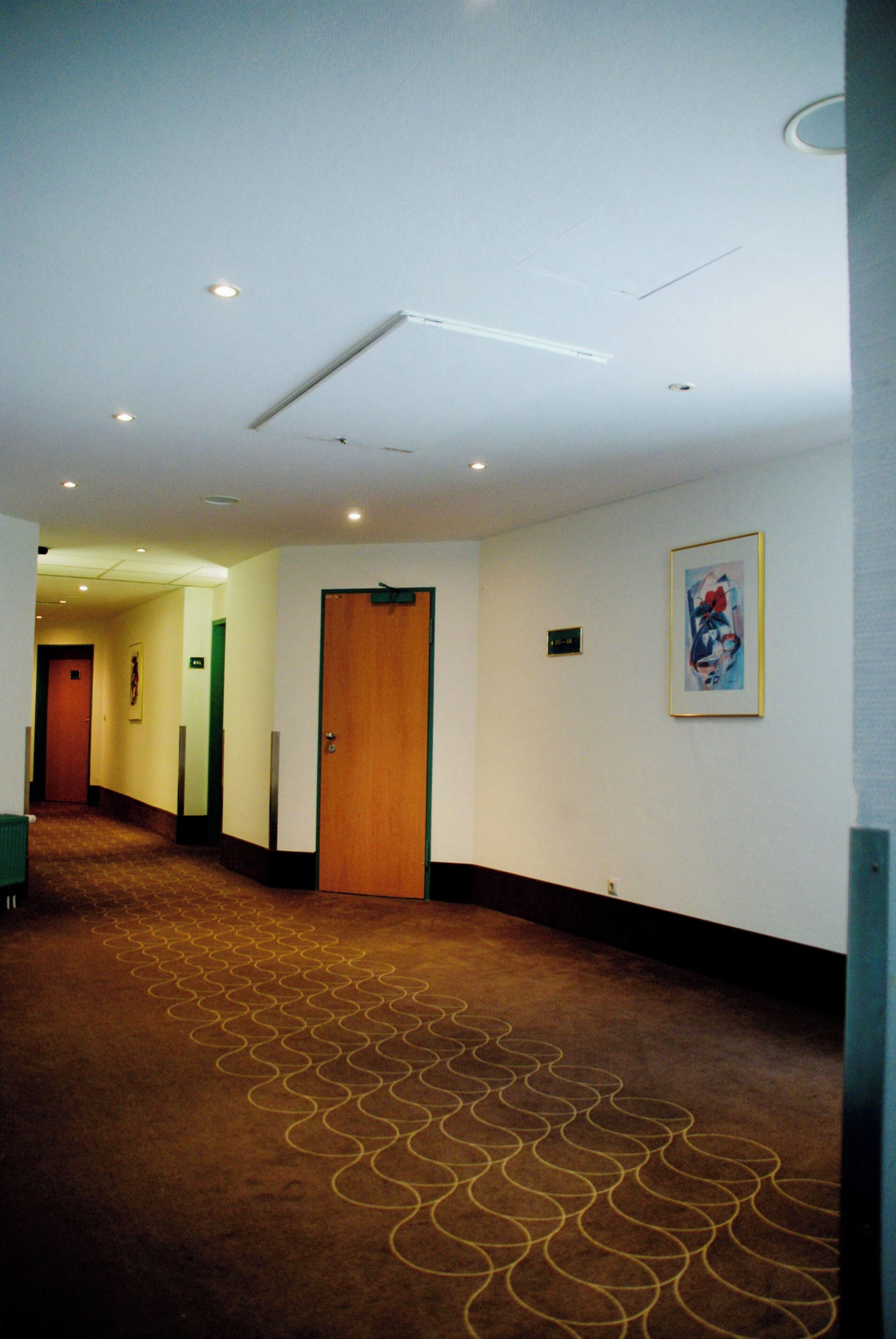Un couloir d’hôtel avec un revêtement de sol en moquette, une porte en bois et un tableau encadré au mur.