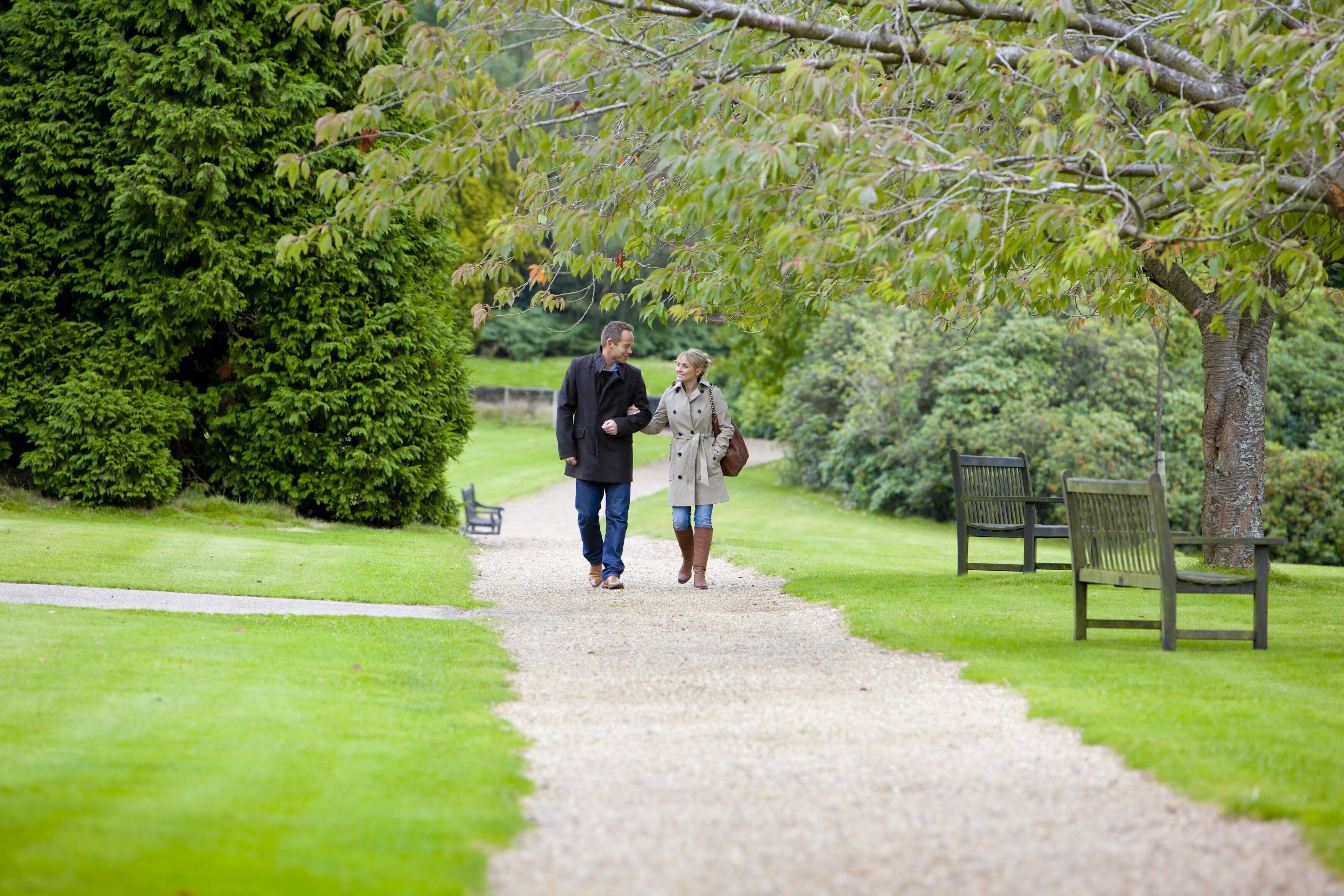 A gravel path in a park with benches and trees.