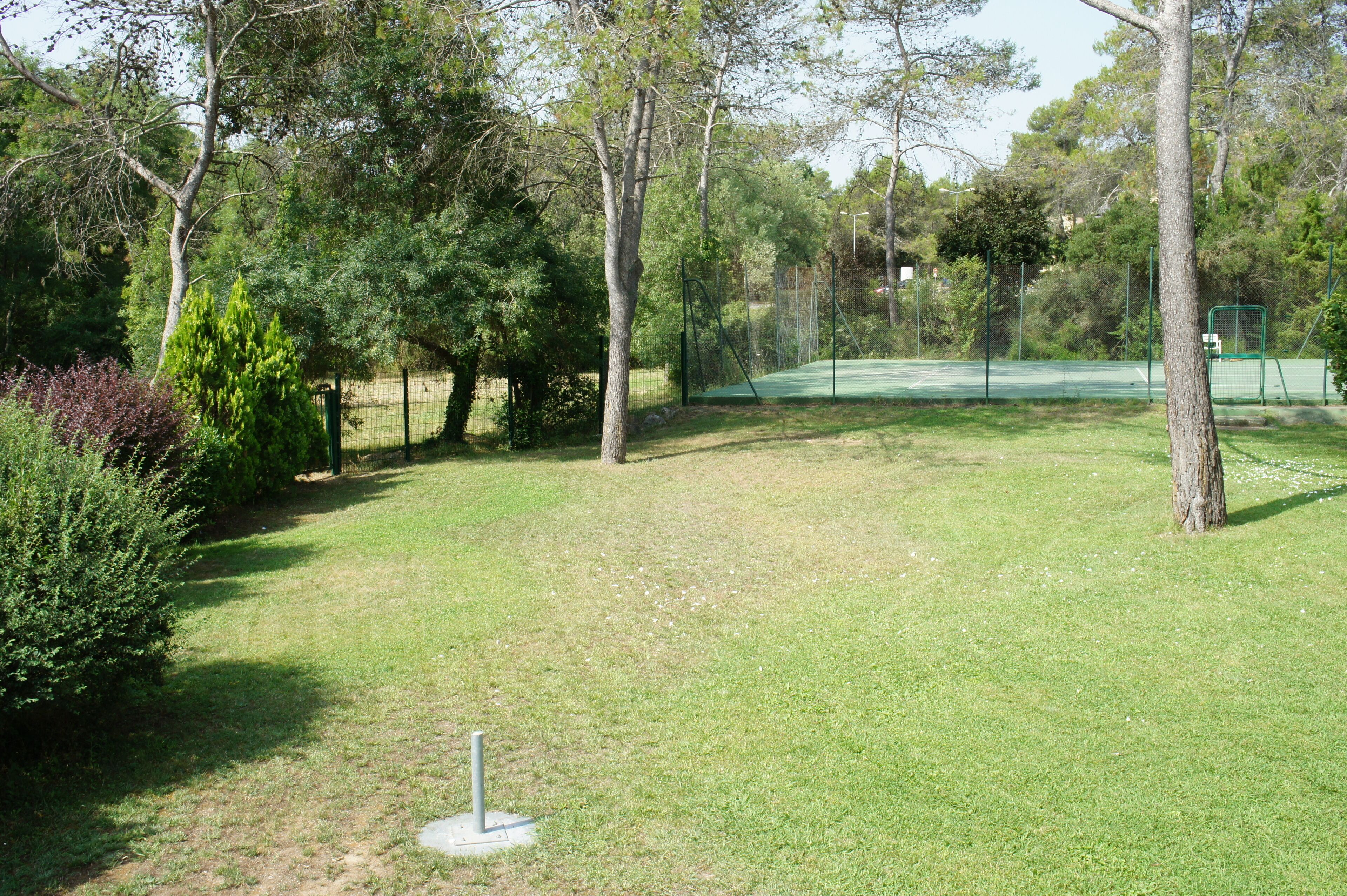 A tennis court surrounded by trees and greenery.