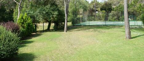 A tennis court surrounded by trees and greenery.