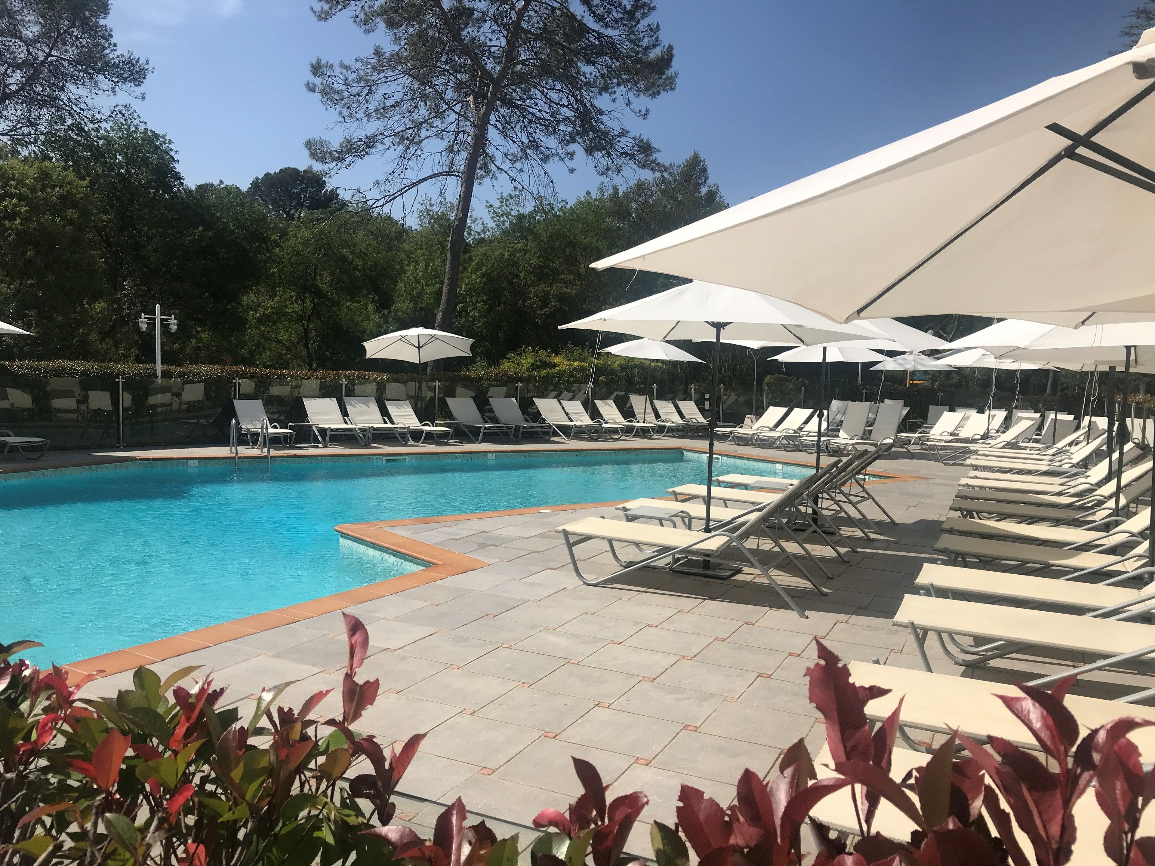 A swimming pool with sun loungers and umbrellas, surrounded by trees.