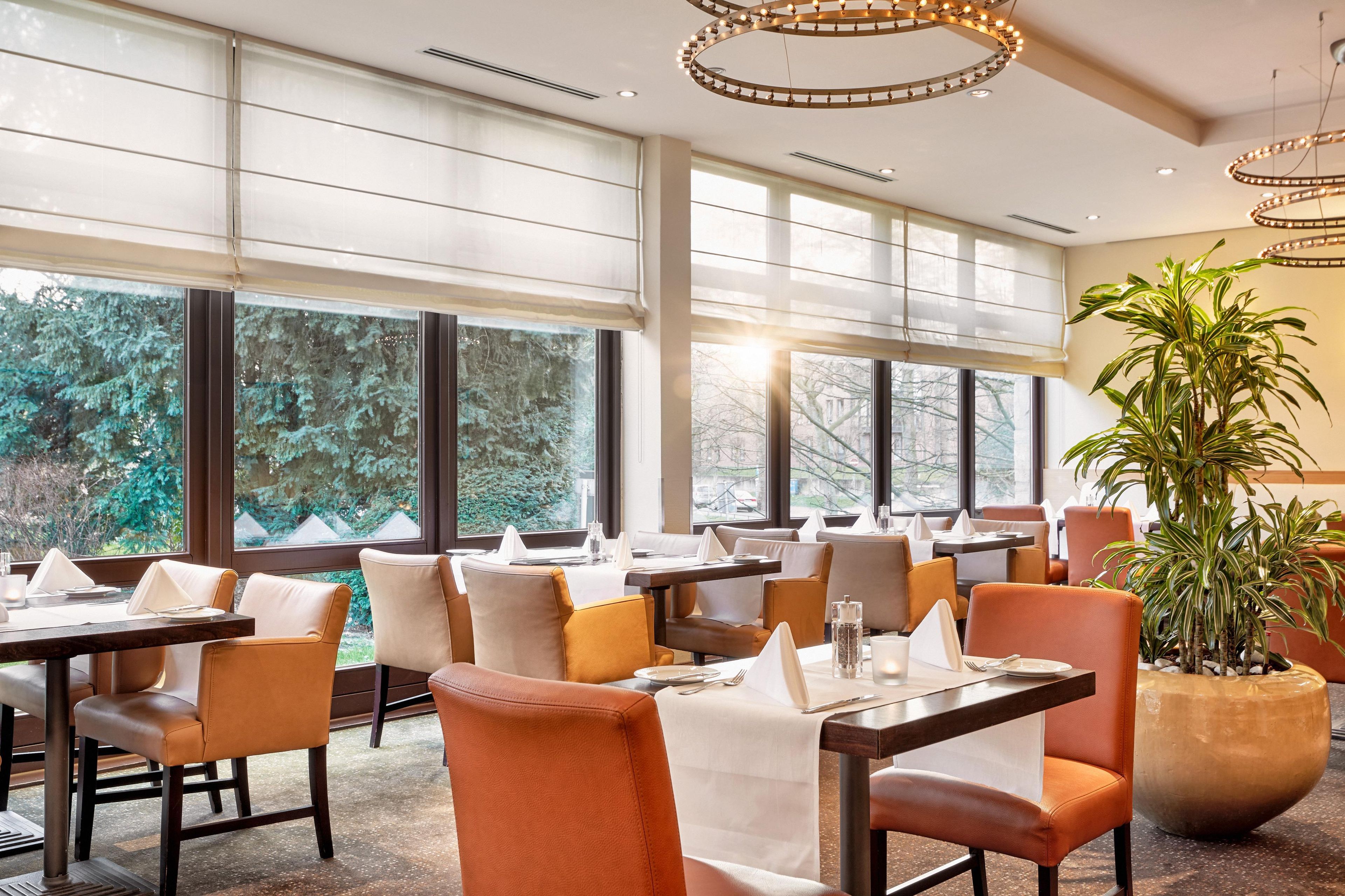 Un restaurant amb diverses taules i cadires, grans finestres i una planta en test.