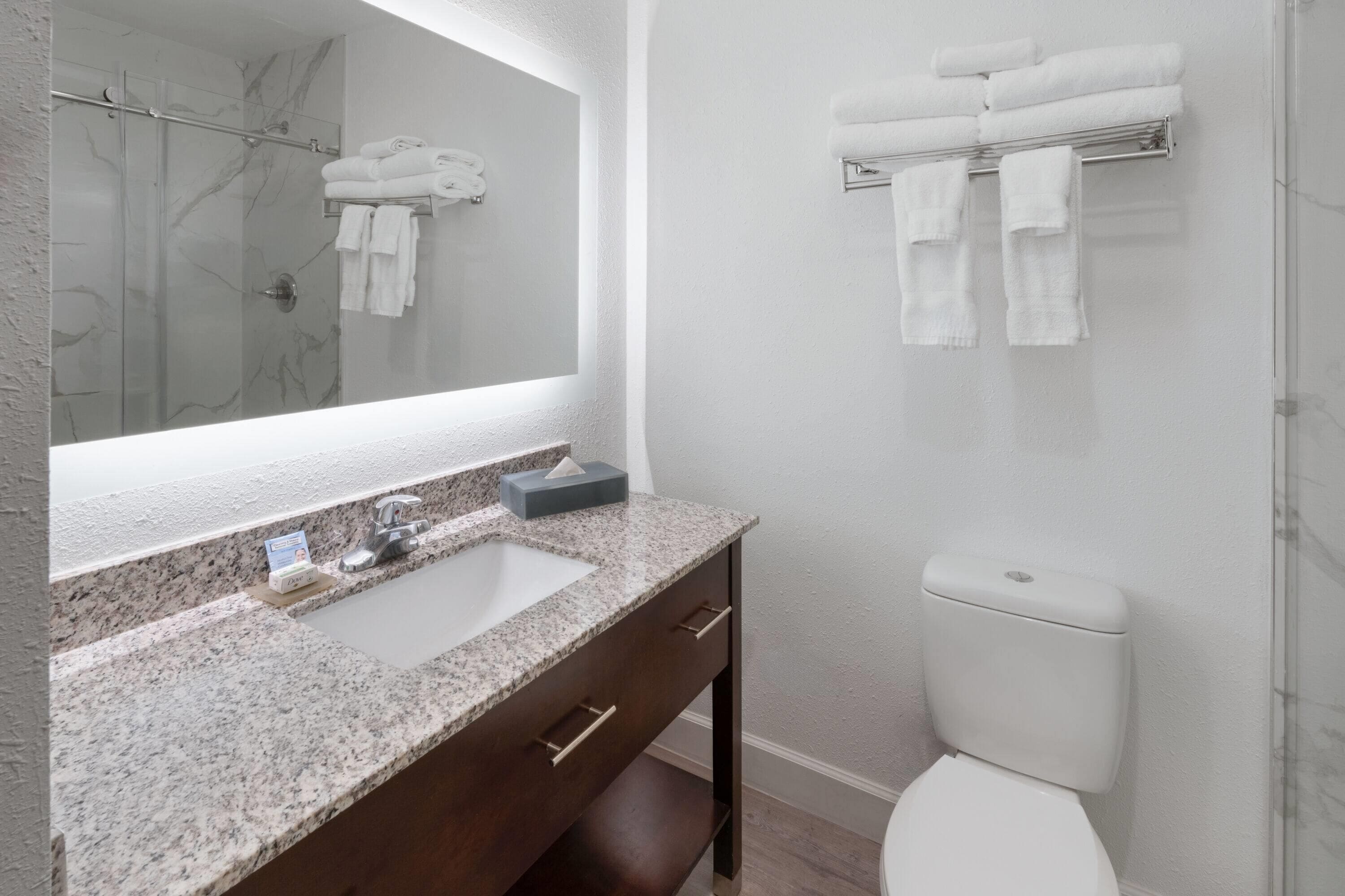 A modern bathroom with a granite countertop, a large mirror, a toilet, and a towel rack.
