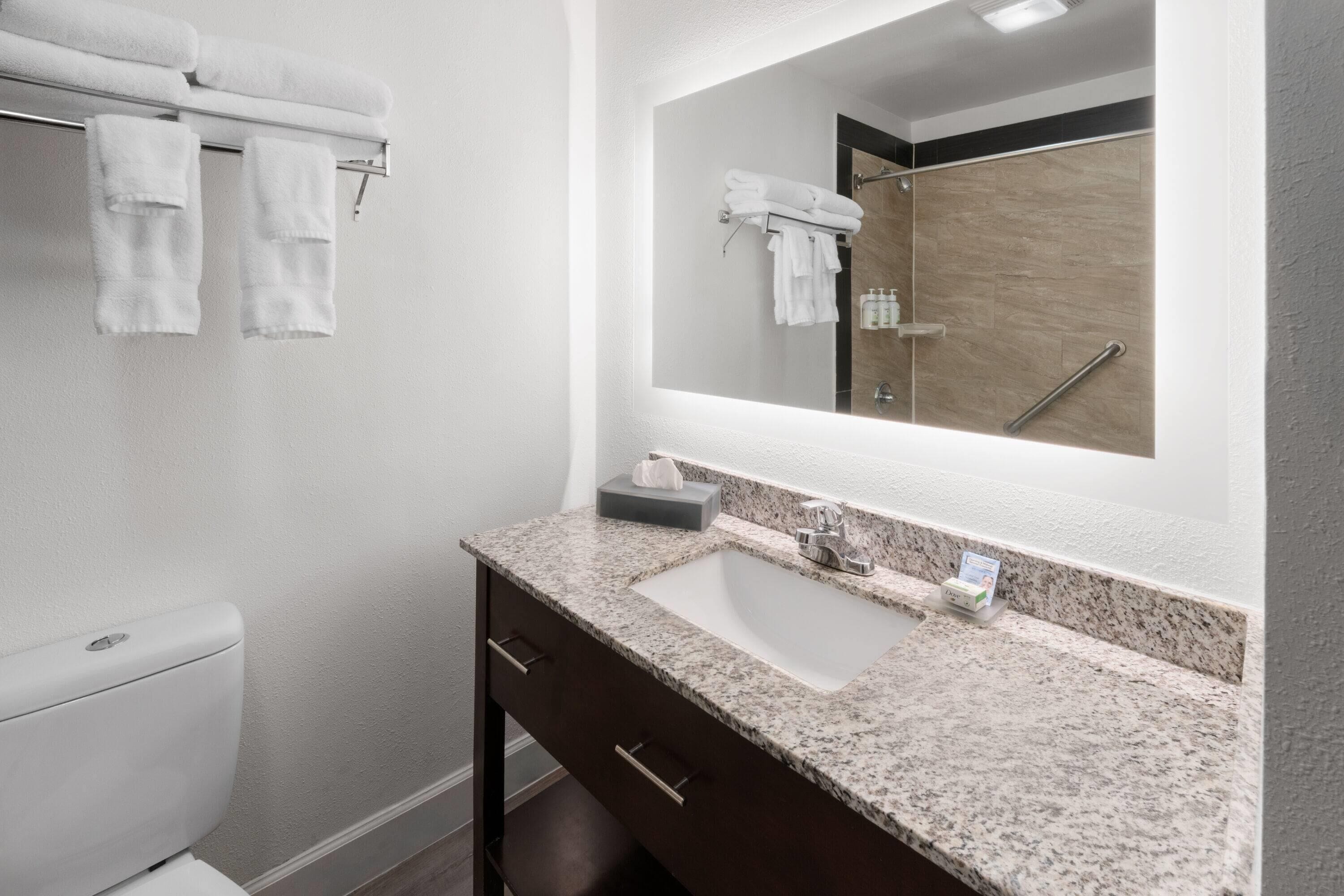 combined shower/bathtub, free toiletries, hair dryer, towels