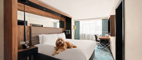 A hotel room with a bed, a desk, a chair, a dog, and a large mirror.