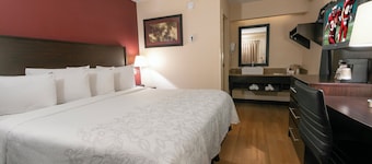Red Roof Inn PLUS+ University at Buffalo - Amherst