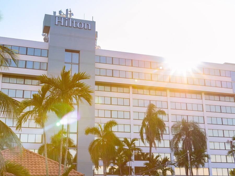 Un hotel Hilton con fachada moderna, palmeras y zonas de estar al aire libre.