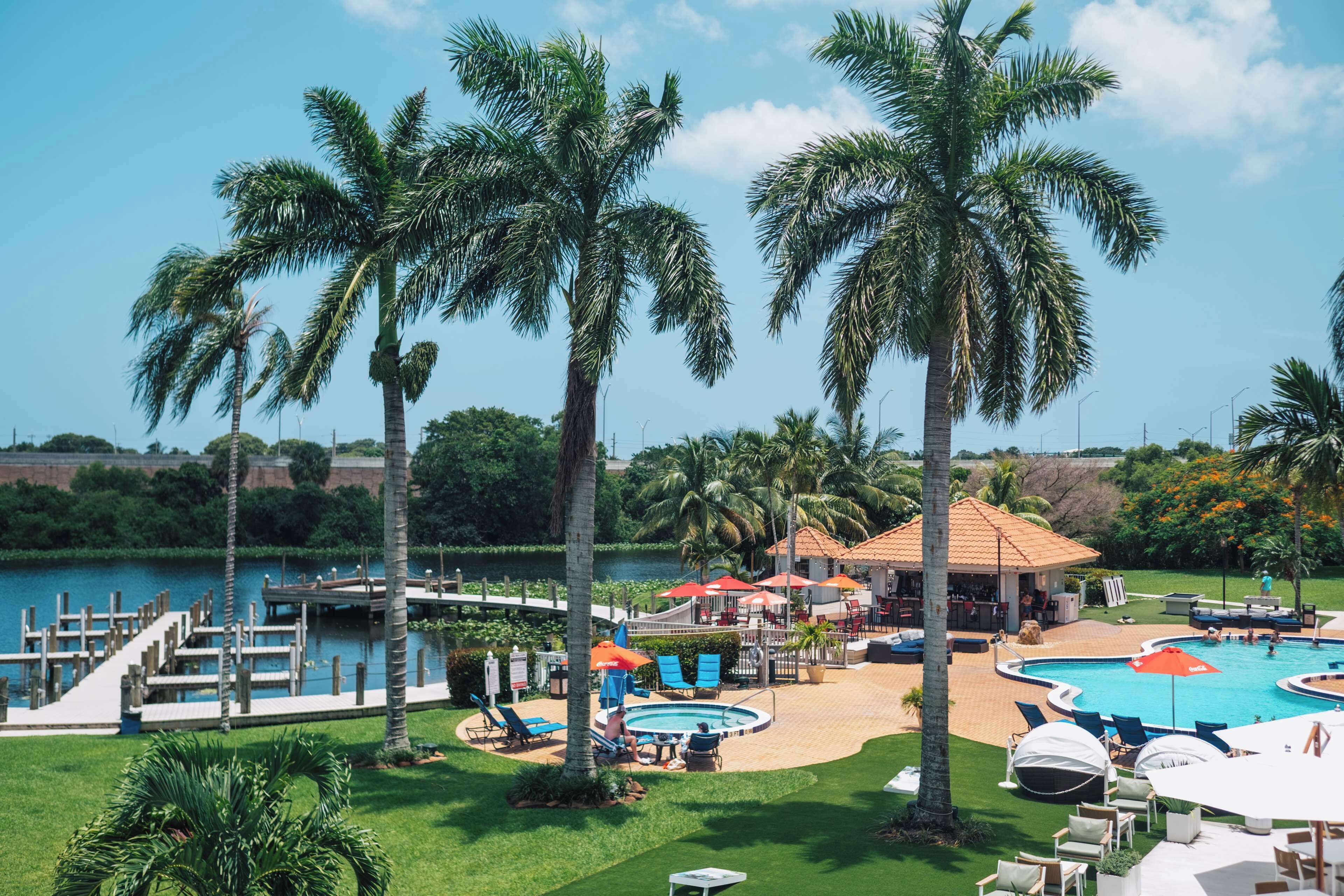 outdoor pool, pool loungers