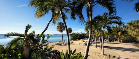 Chambre, 1 très grand lit, vue baie | Vue sur la plage/l’océan