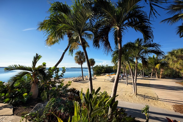 Habitació, 1 llit de matrimoni gran, vistes a la badia | Vista de la platja o del mar