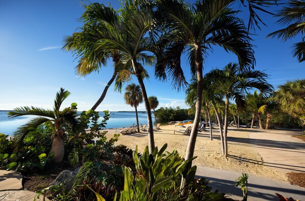 Chambre, 1 très grand lit, vue sur la baie | Vue sur la plage ou l’océan