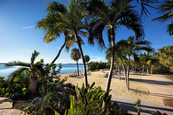 Vue sur la plage/l’océan