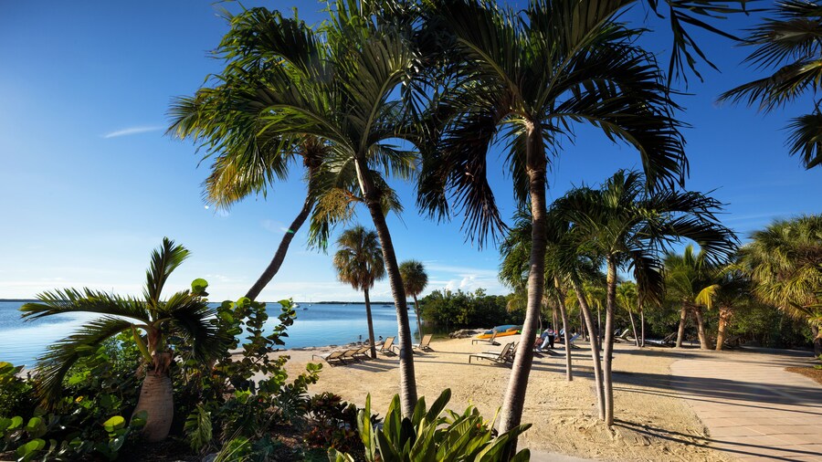 Hampton Inn Key Largo Manatee Bay