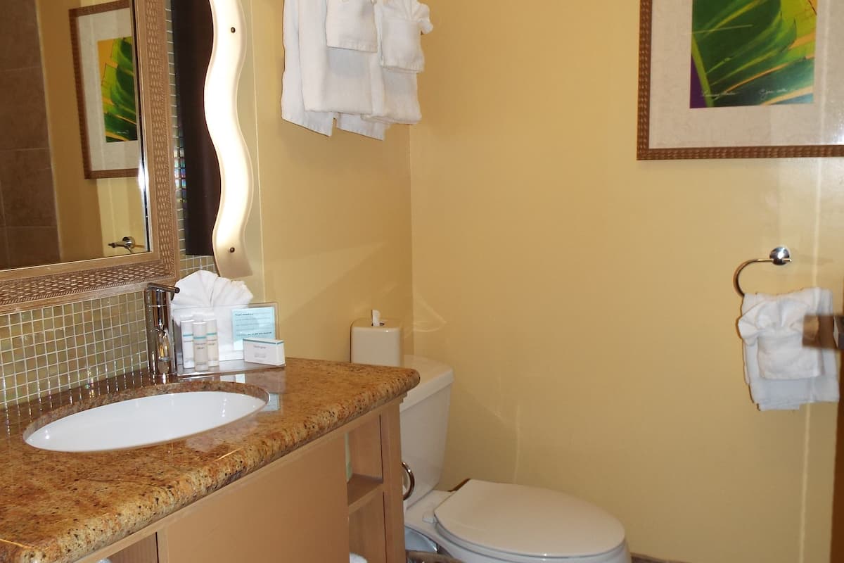 free toiletries, hair dryer, towels, soap