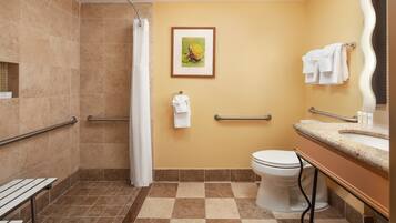 A bathroom with a shower, toilet, and handrails.