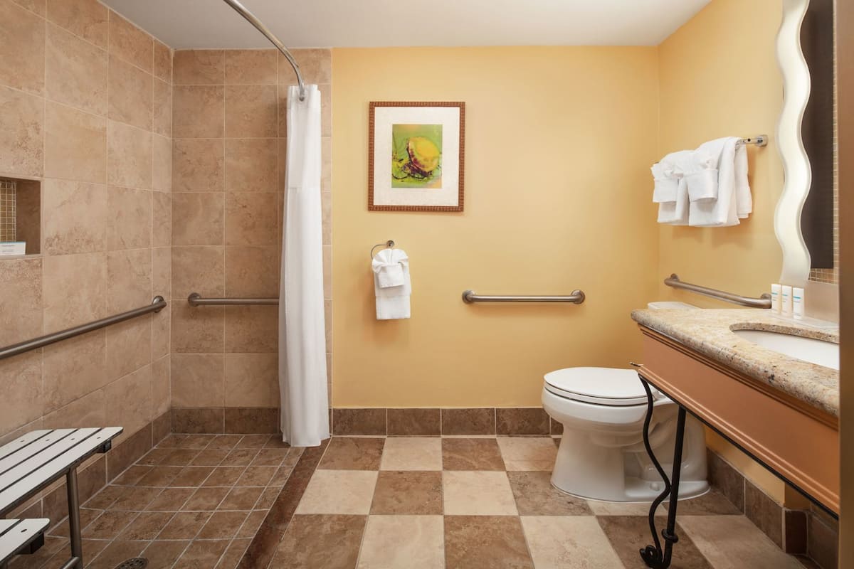 A bathroom with a shower, toilet, and sink, equipped with grab bars and a handrail.