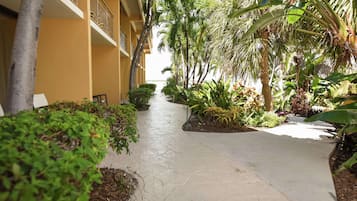A pathway flanked by lush greenery and a yellow building with balconies.