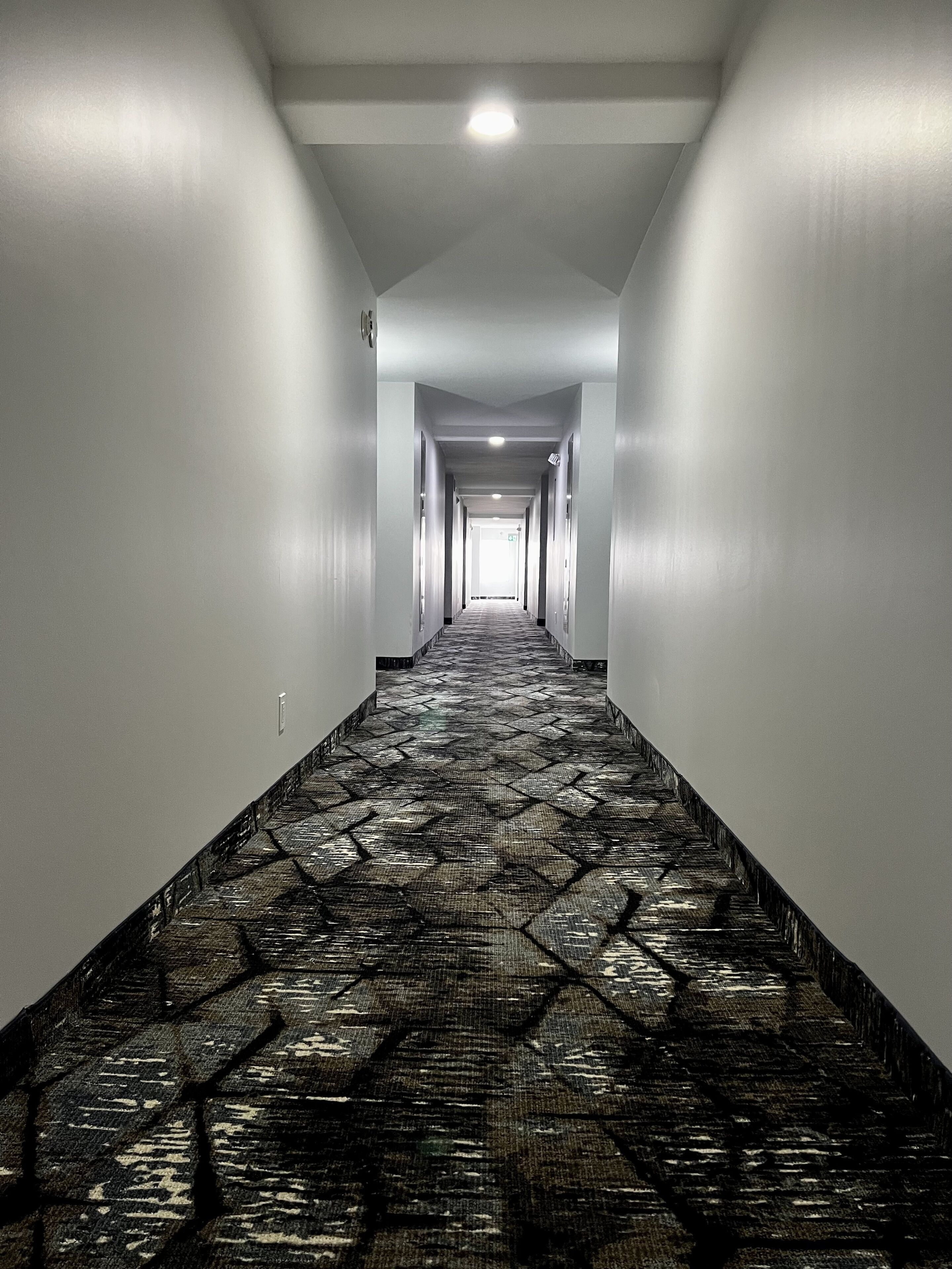 Un long couloir étroit, doté d’un tapis à motifs et de murs blancs.