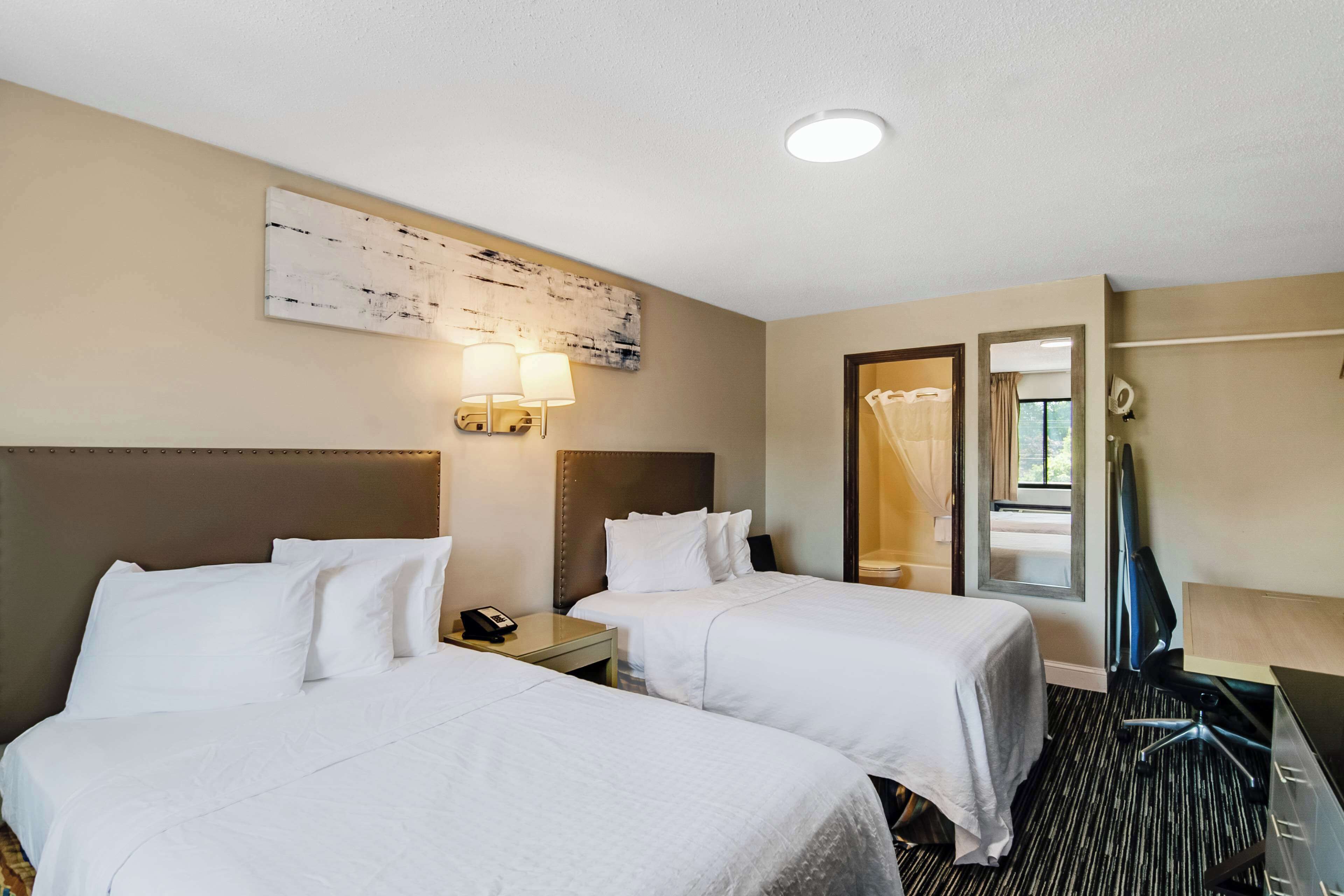 Roupas de cama premium, edredons de pluma, camas Select Comfort