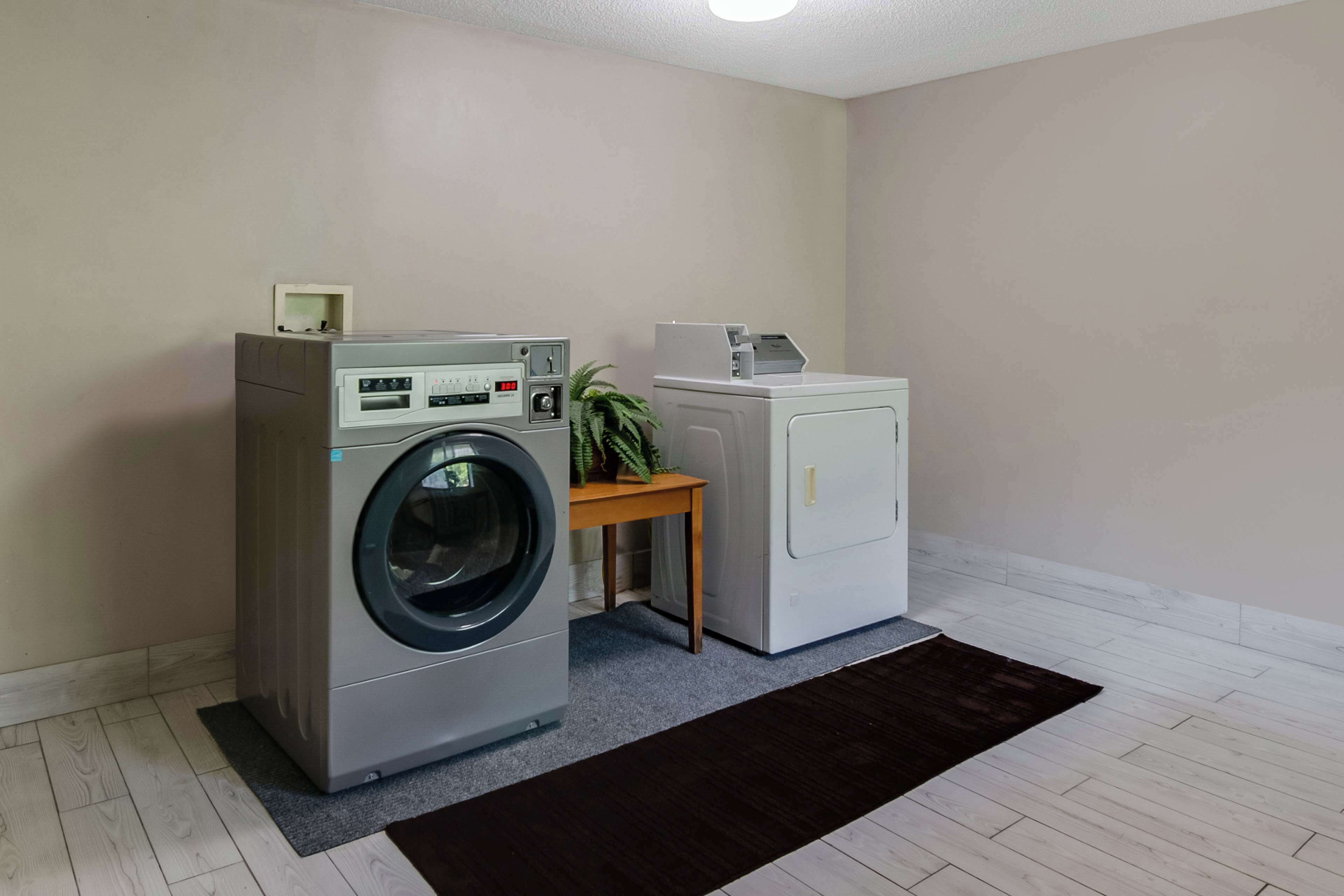 Een wasruimte met een voorlader wasmachine en droger, een kleine tafel met een plant en een donker vloerkleed.