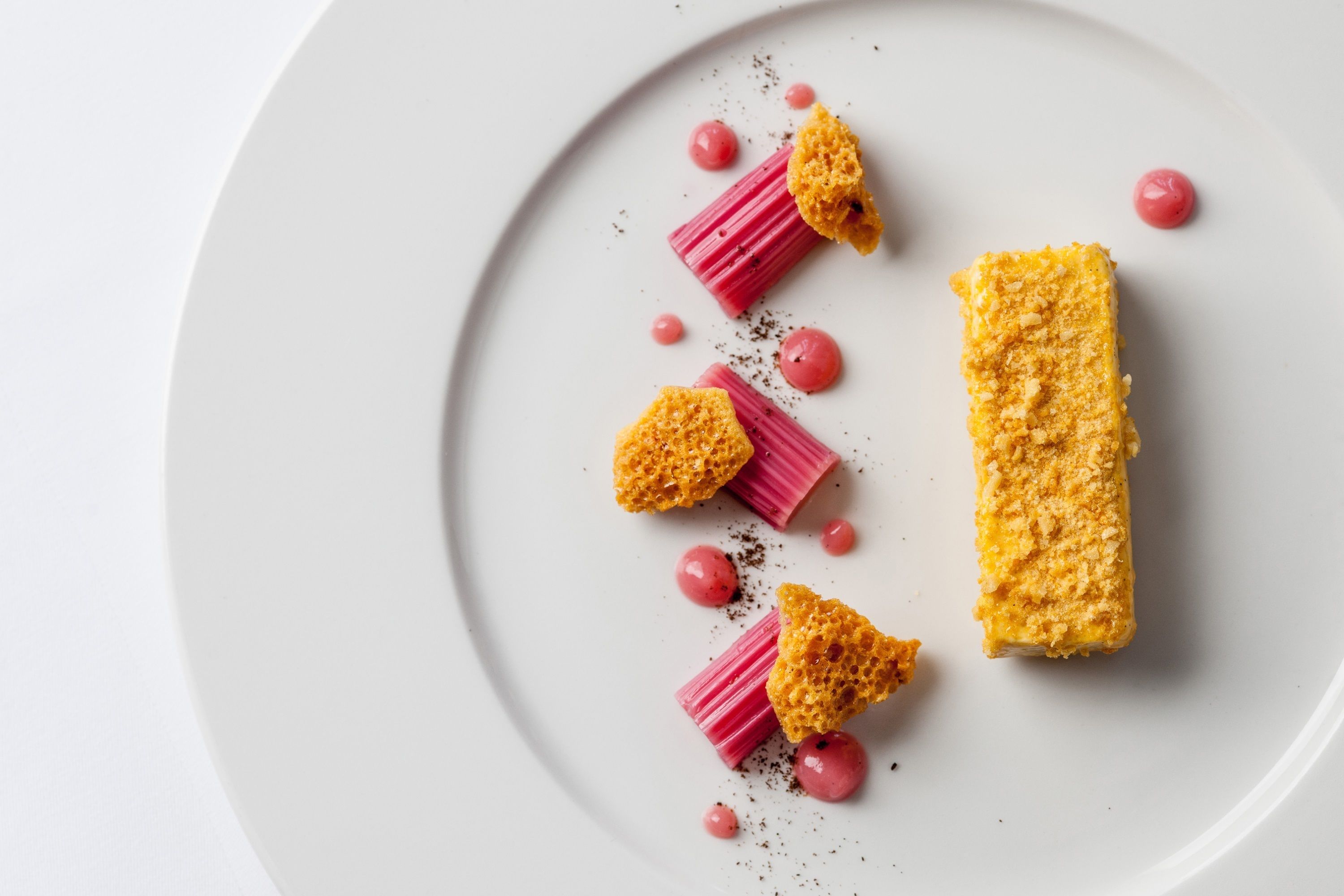 A white plate with a rectangular food item, possibly a dessert, accompanied by small pink spheres and a textured topping.