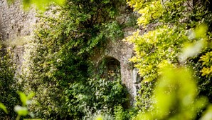 Un edificio histórico de piedra con arcos y abundante vegetación.