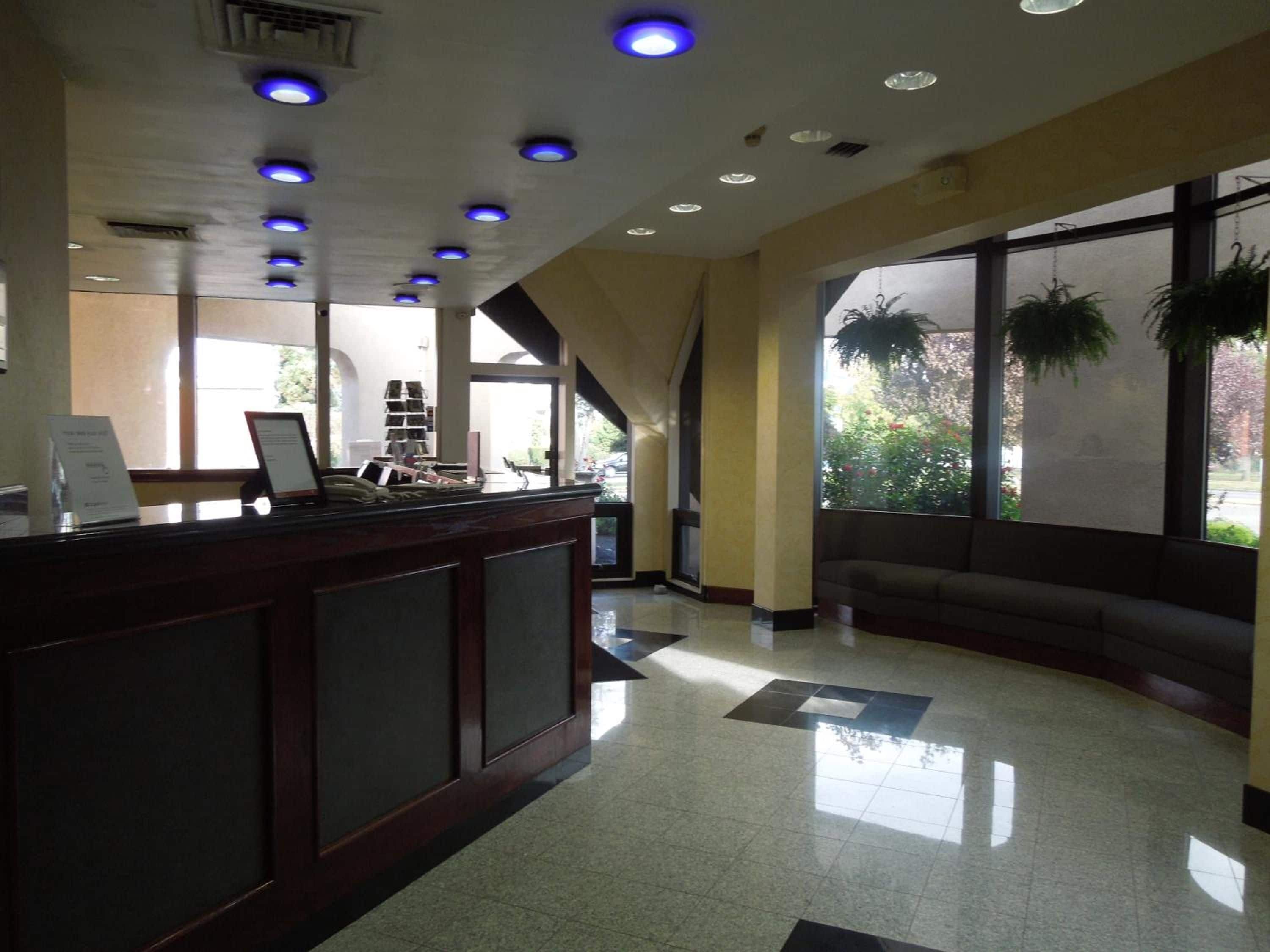 A reception area with a counter, a sofa, and large windows with plants.