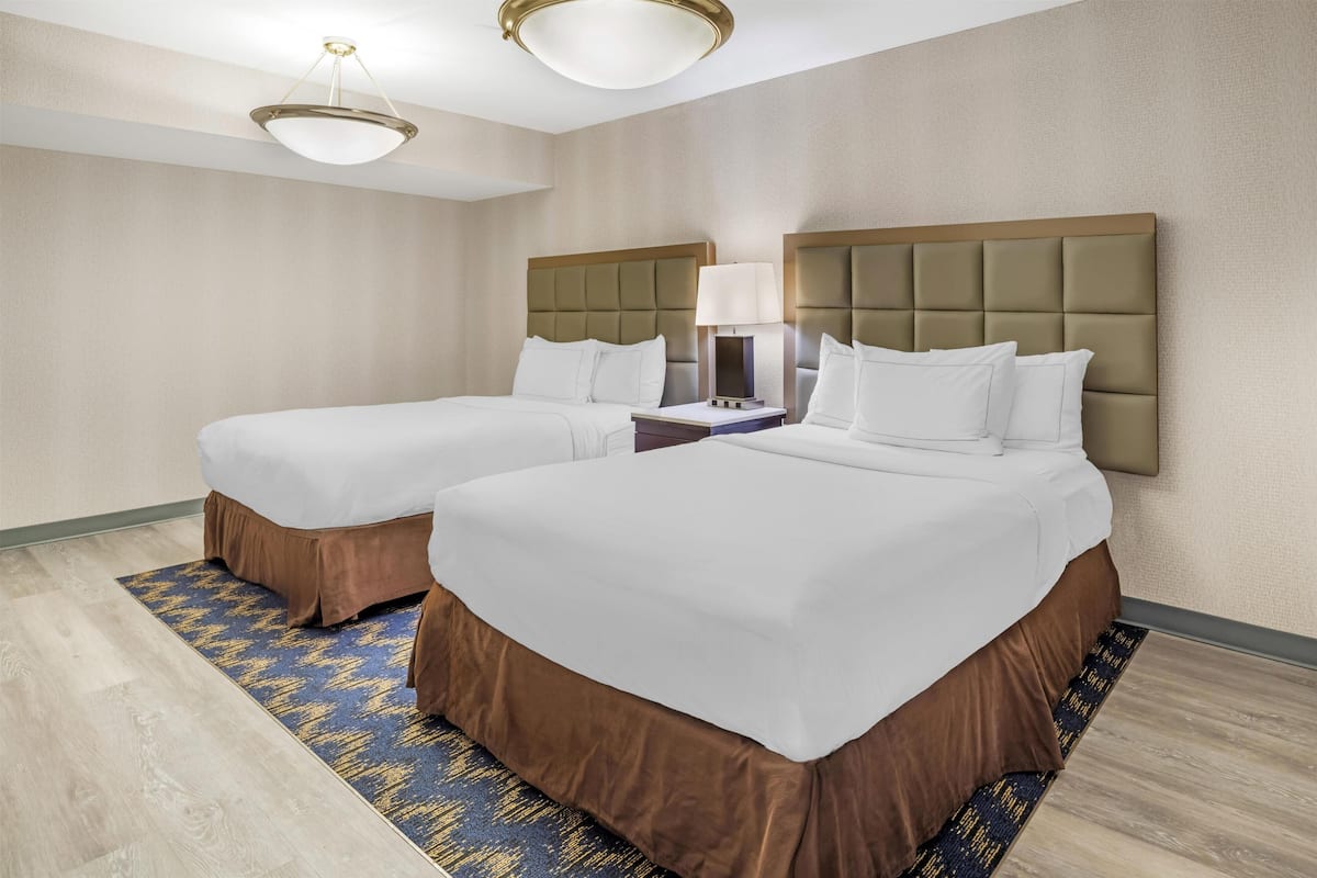 Hypo-allergenic bedding, in-room safe, desk, laptop workspace
