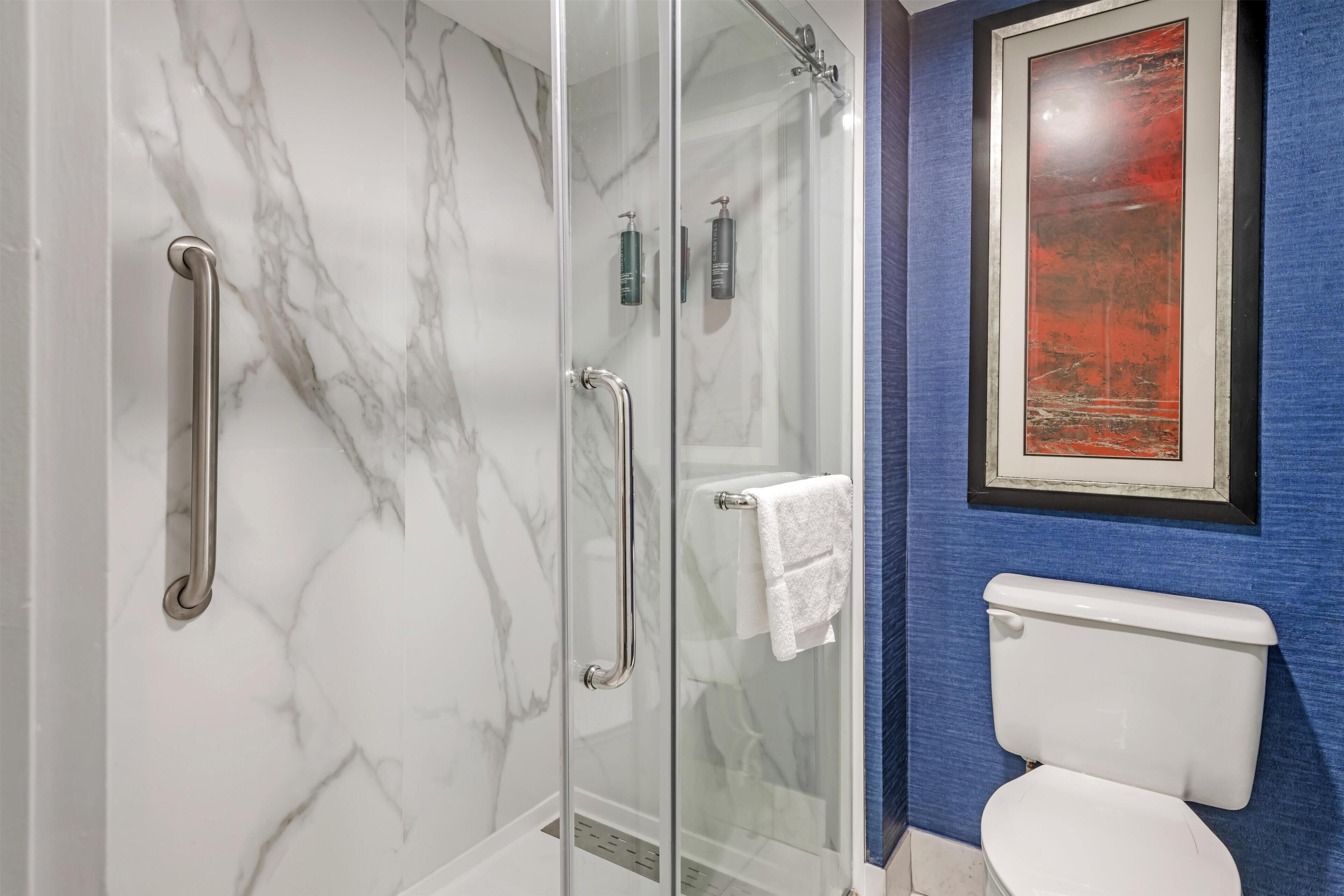 A bathroom with a glass-enclosed shower, a white toilet, and a framed artwork on the wall.