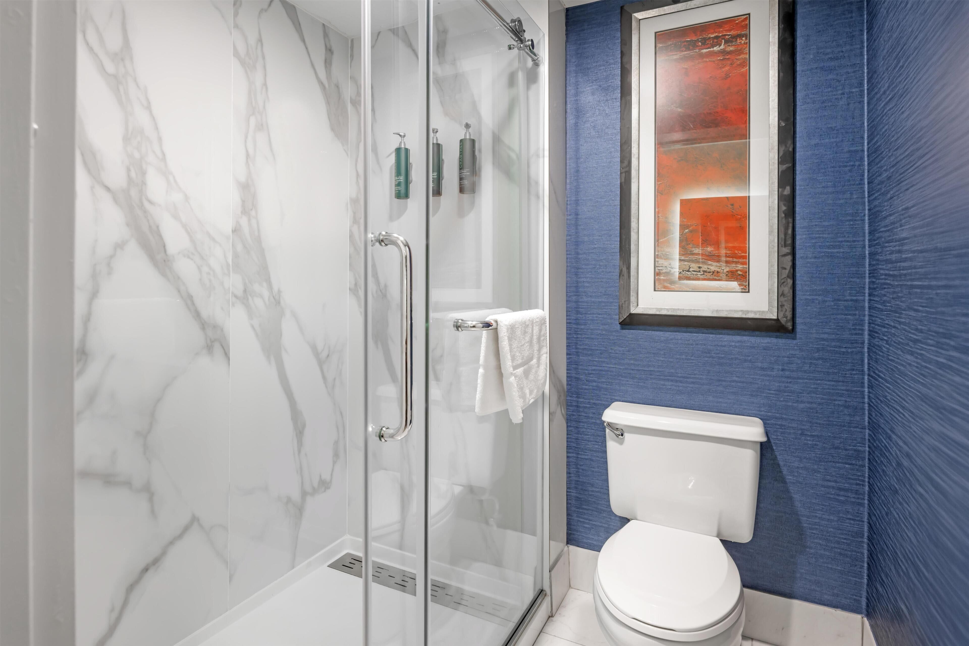 Un baño con ducha envuelta en vidrio, inodoro blanco y un cuadro en la pared.