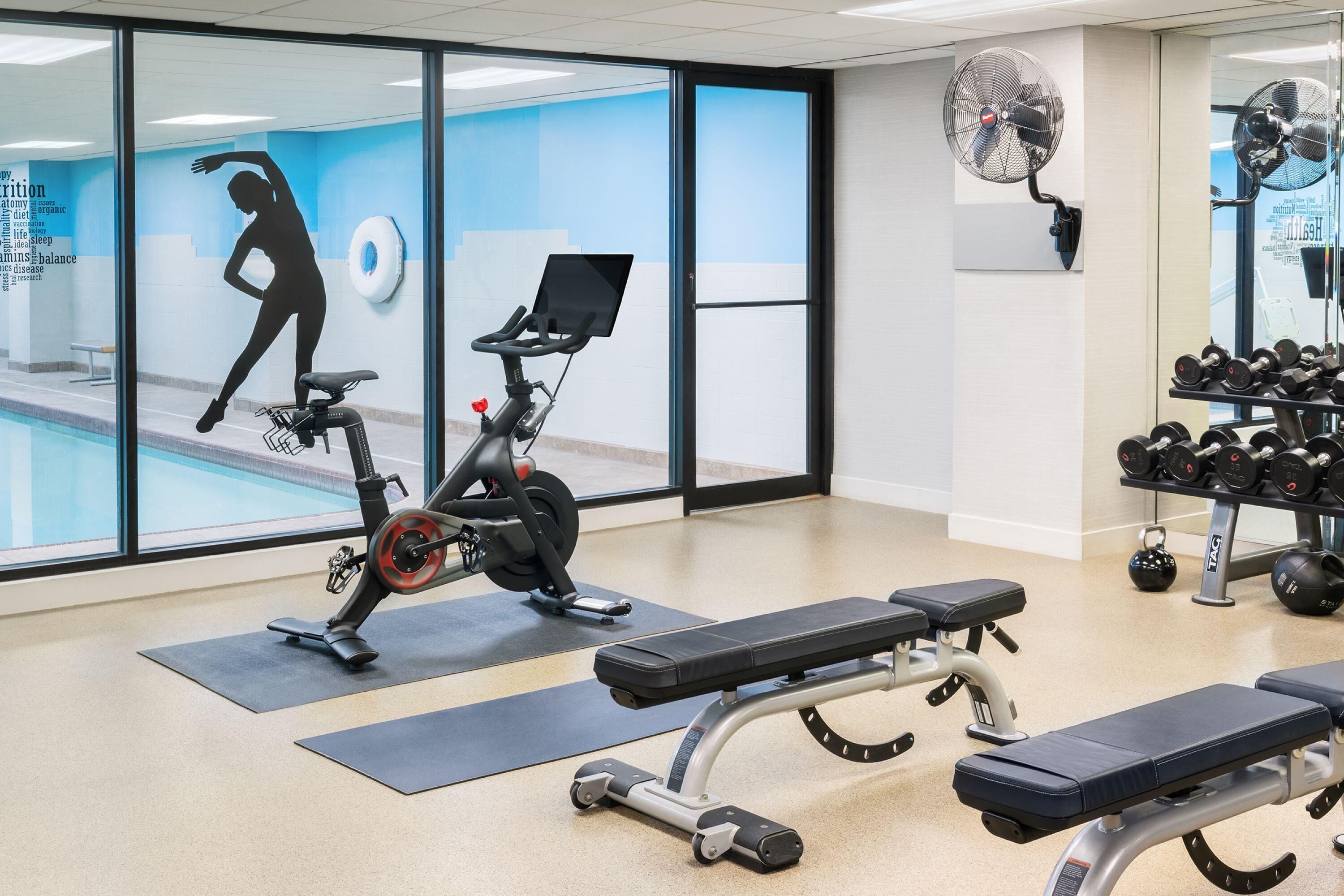 A gym with exercise equipment, a wall-mounted fan, and a window with a silhouette of a person exercising.