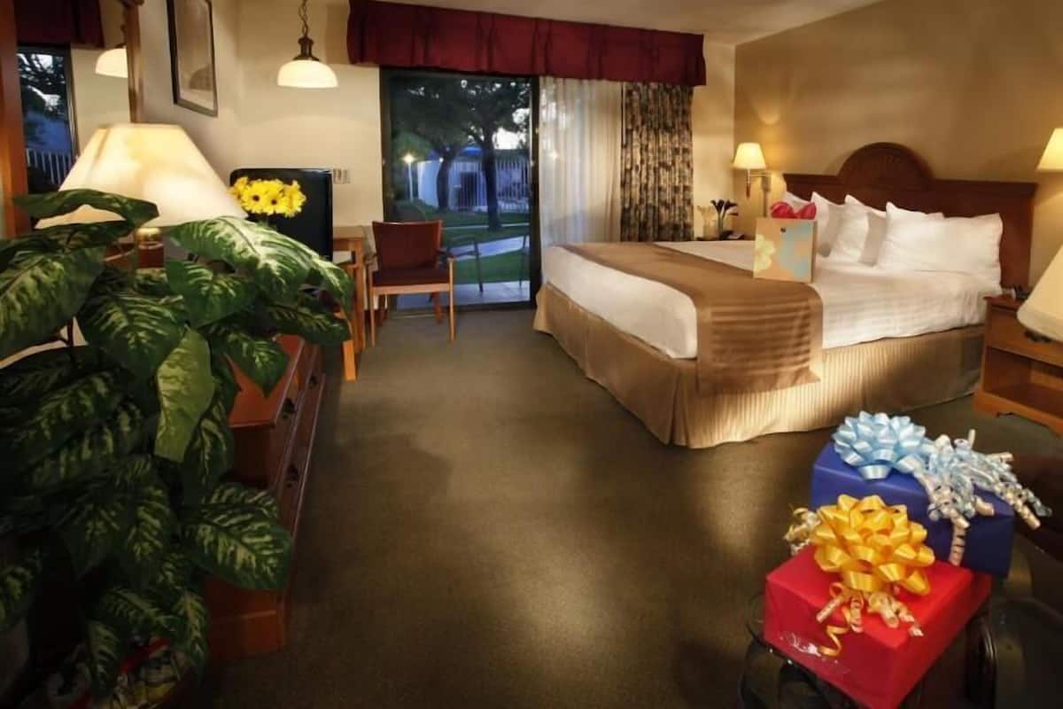 A hotel room with a bed, bedside lamps, a chair, a desk, a large plant, and a window with curtains.