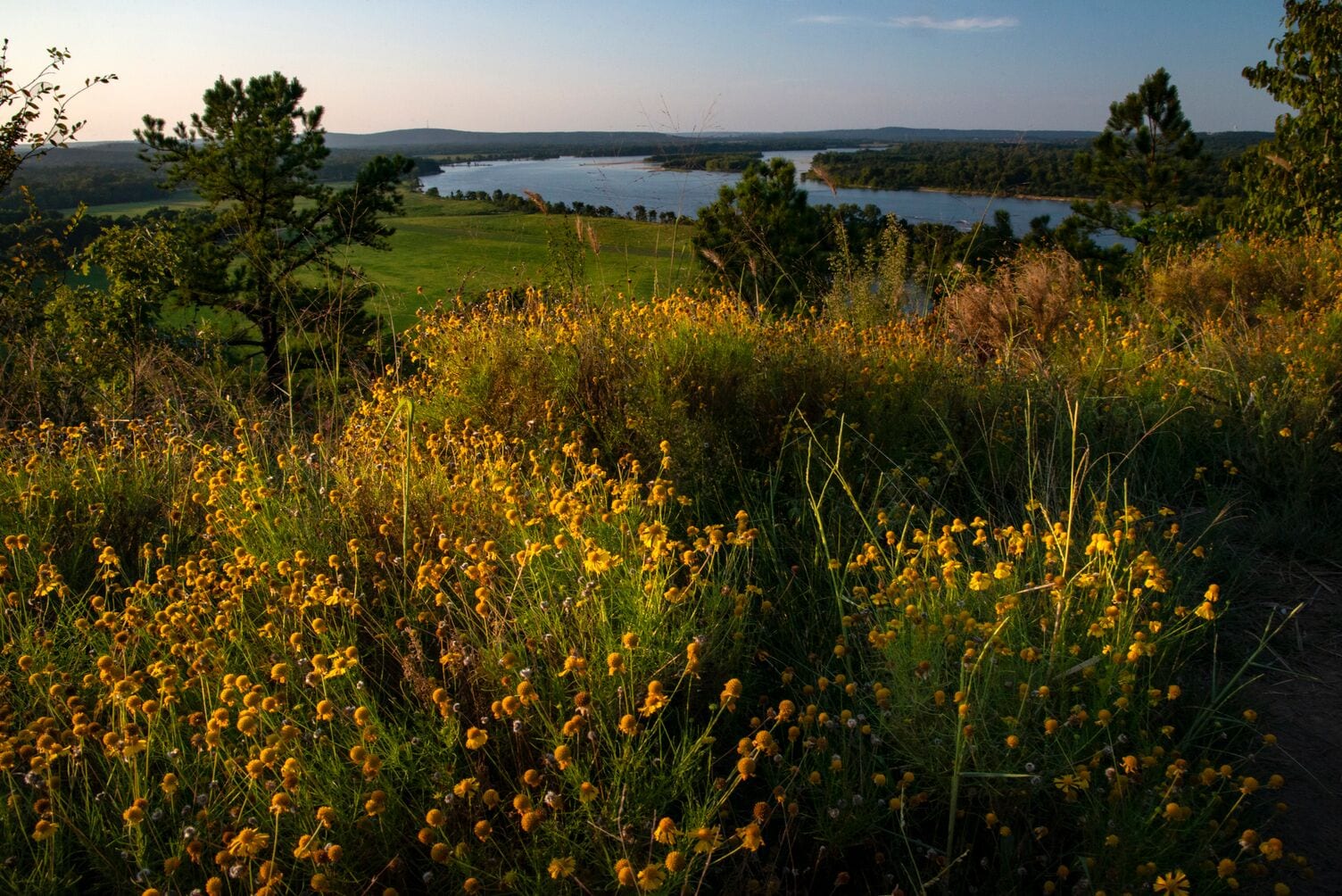 Foto - Four Points by Sheraton Little Rock Midtown