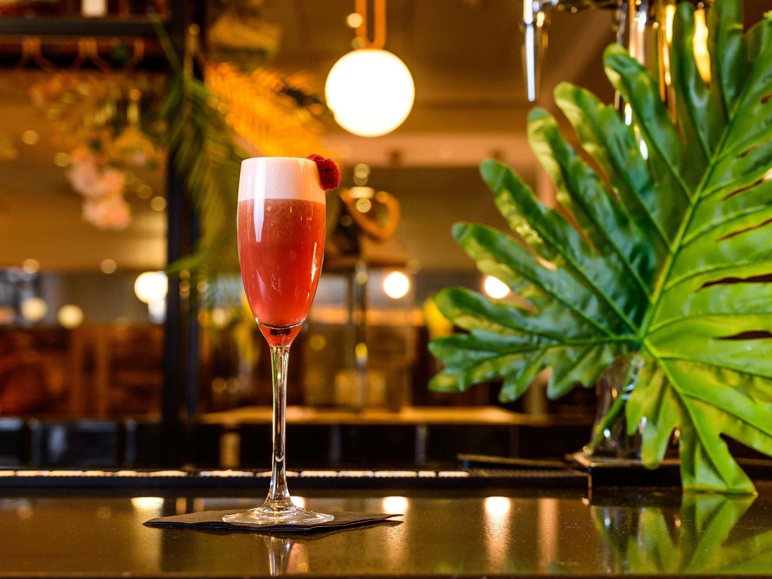 A cocktail in a glass on a bar counter with a large green plant in the background.