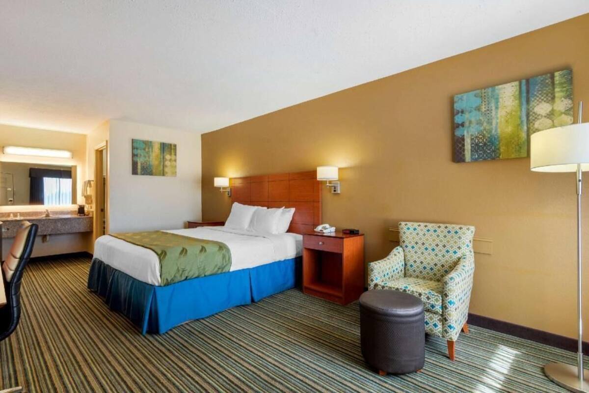 Quarto de hotel com cama, poltrona, escrivaninha, luminária e obras de arte nas paredes.