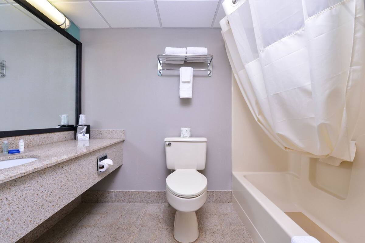 A bathroom with a toilet, a towel rack, a mirror, and a shower curtain.