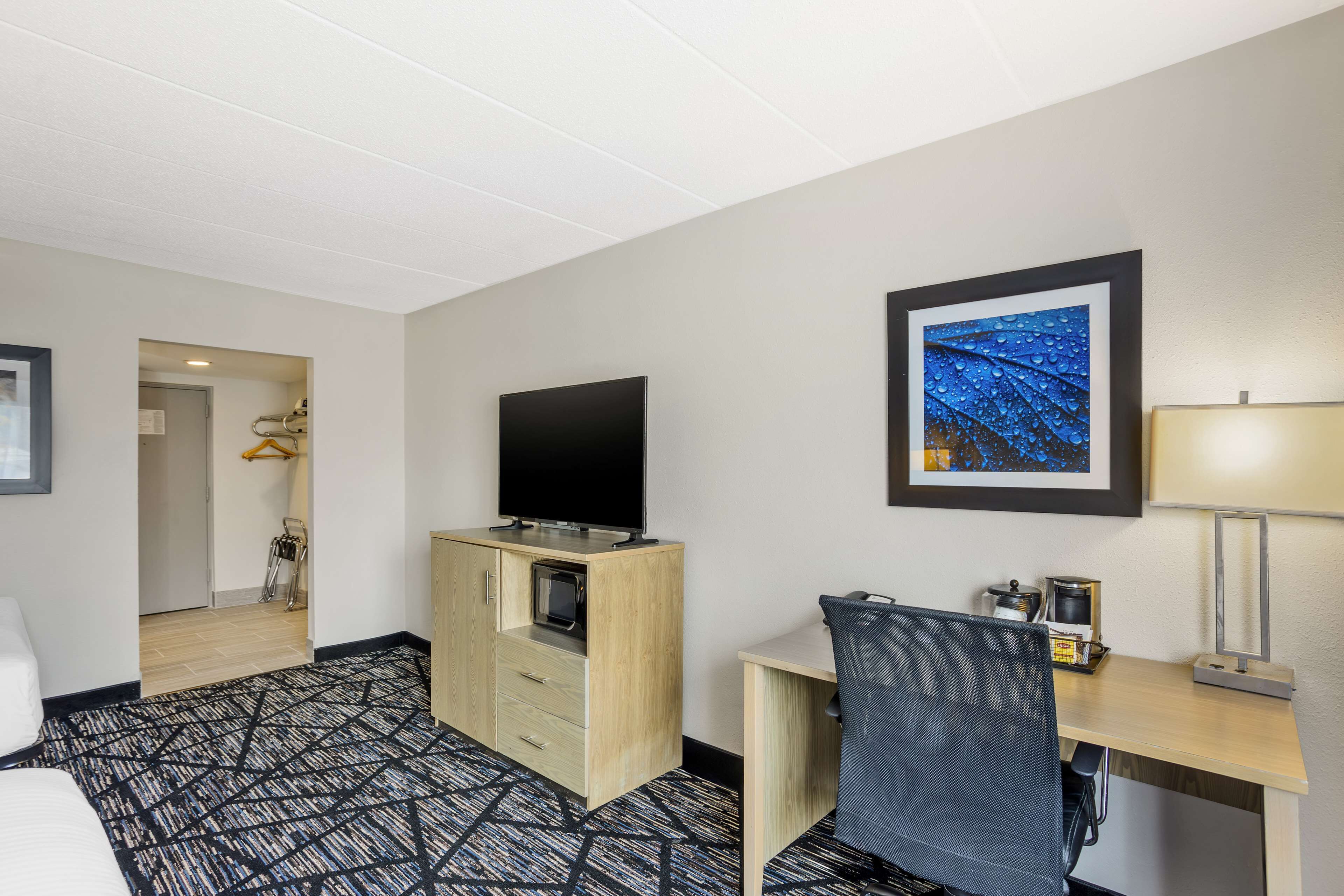 A hotel room with a bed, a desk with a chair, a television, a framed picture on the wall, and a carpeted floor.