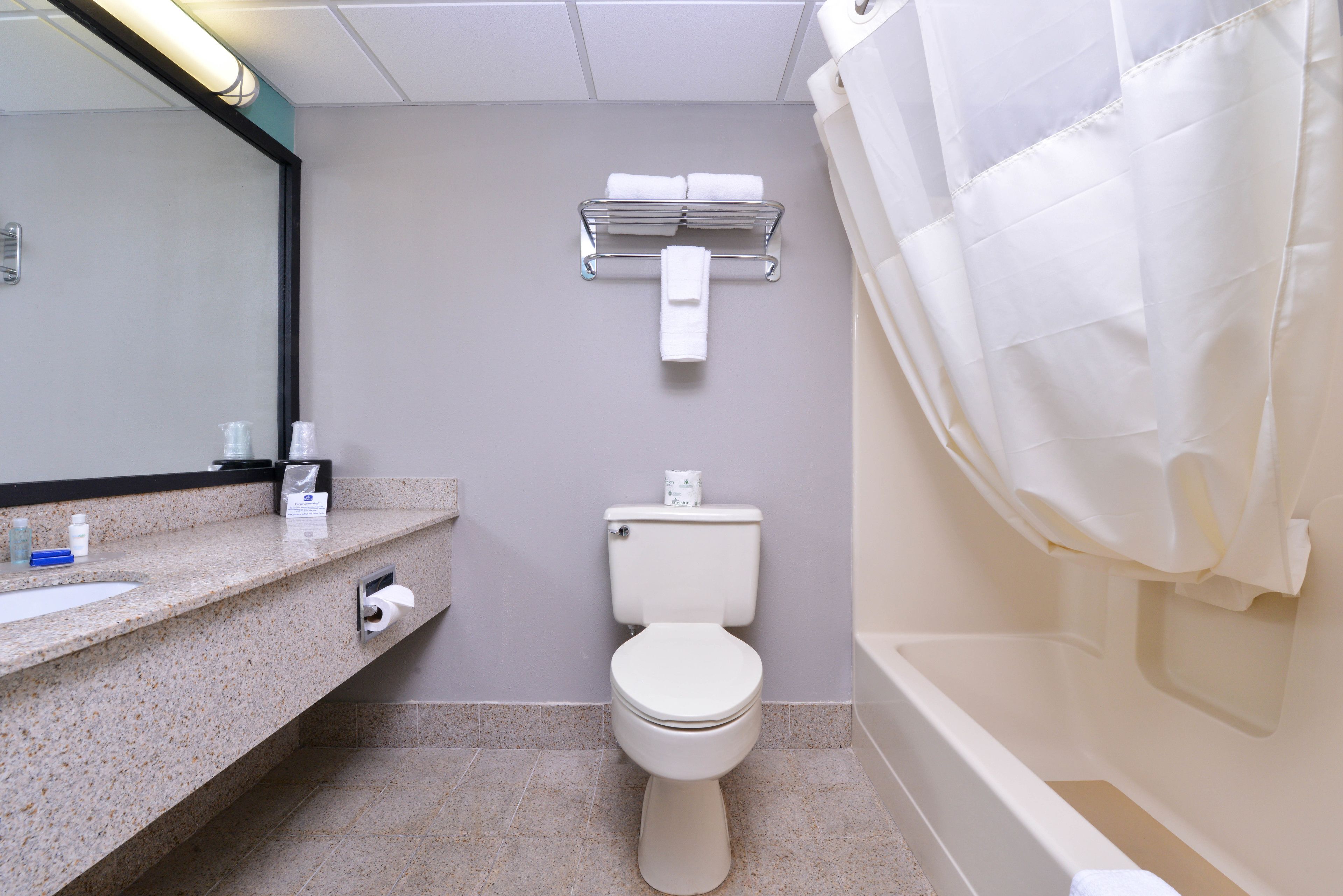 Combined shower/bathtub, free toiletries, hair dryer, towels