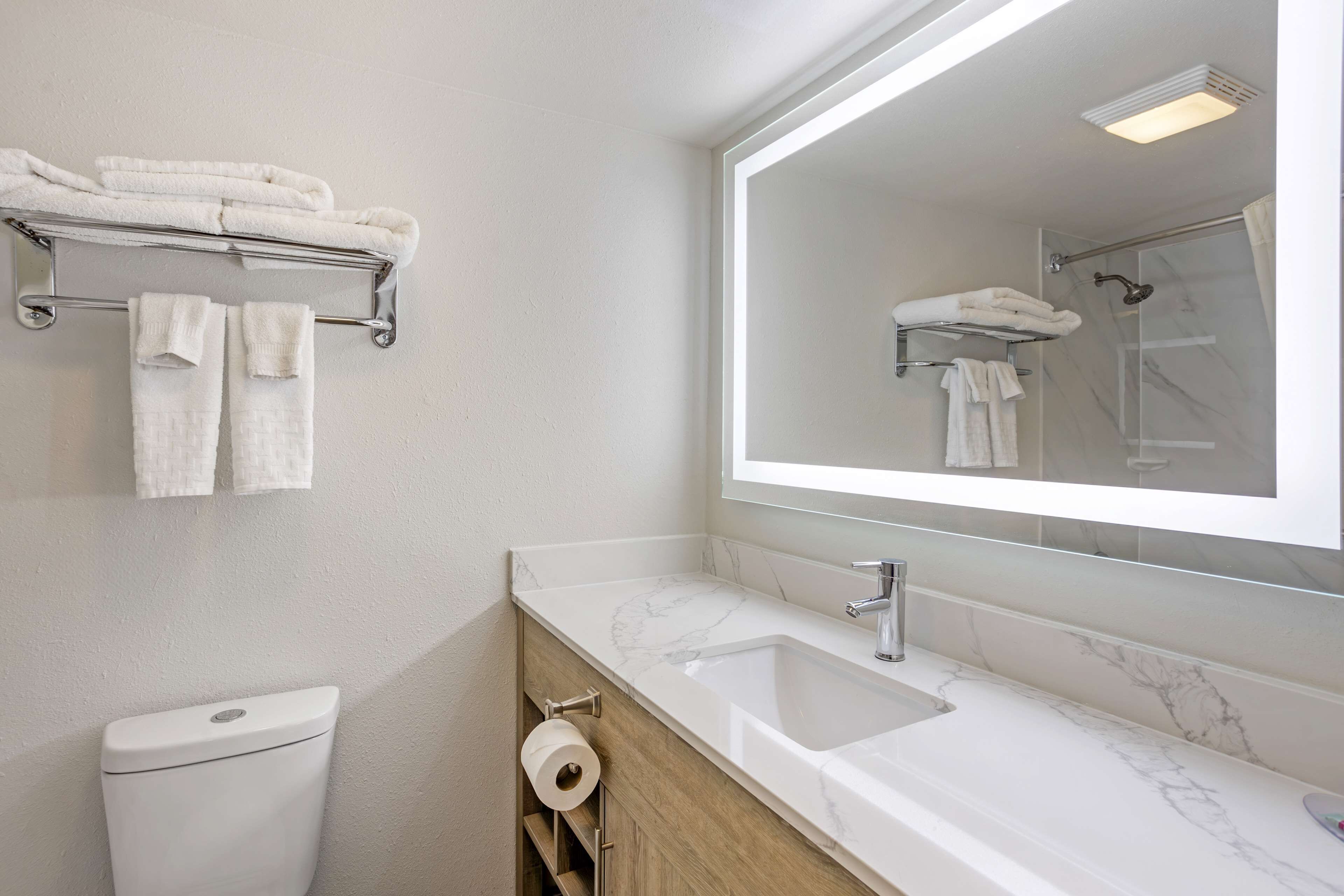 Ein modernes Badezimmer mit Toilette, Marmorwaschbecken und einem großen Spiegel.